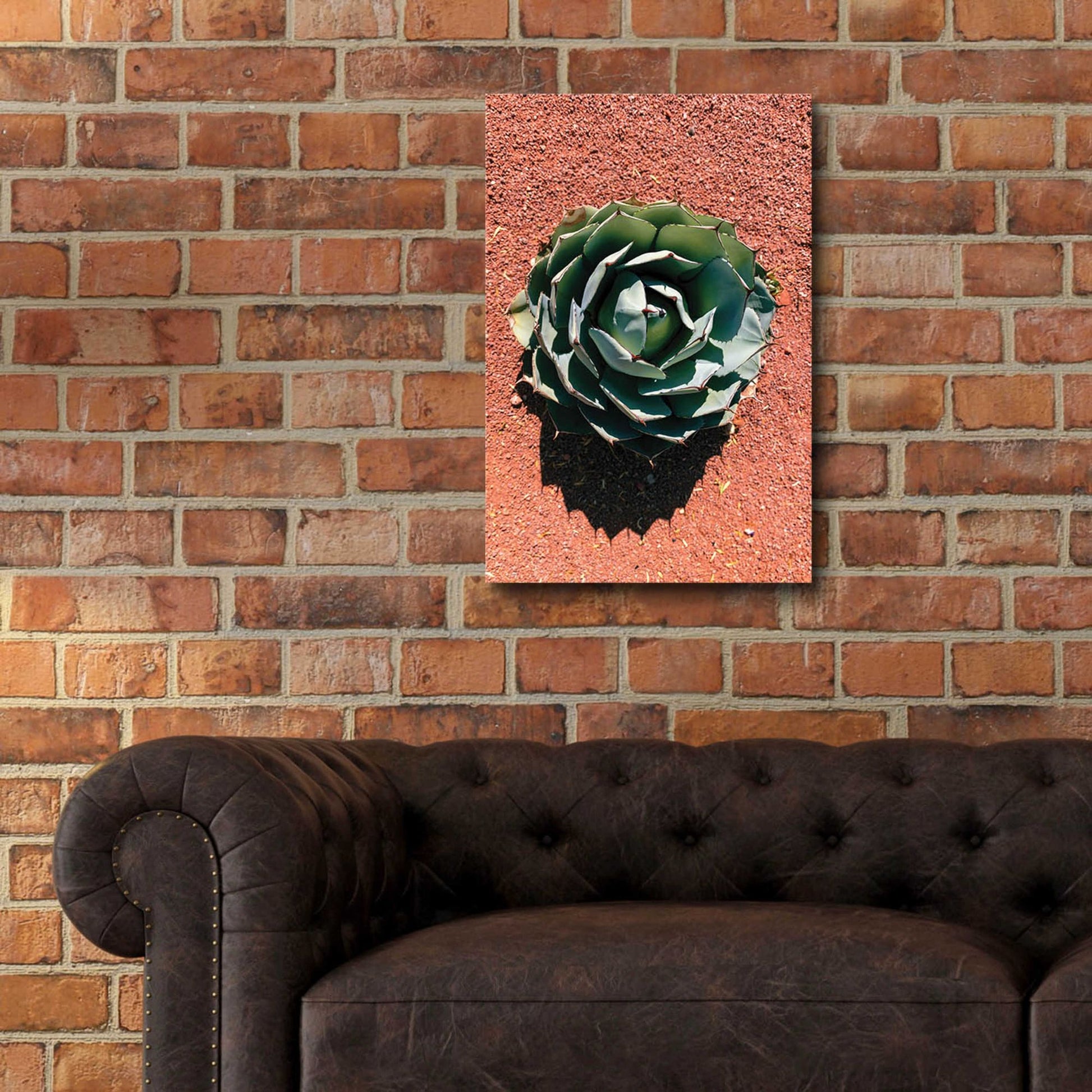 Epic Art 'Utah - Cactus 3' by Epic Portfolio, Acrylic Glass Wall Art,16x24