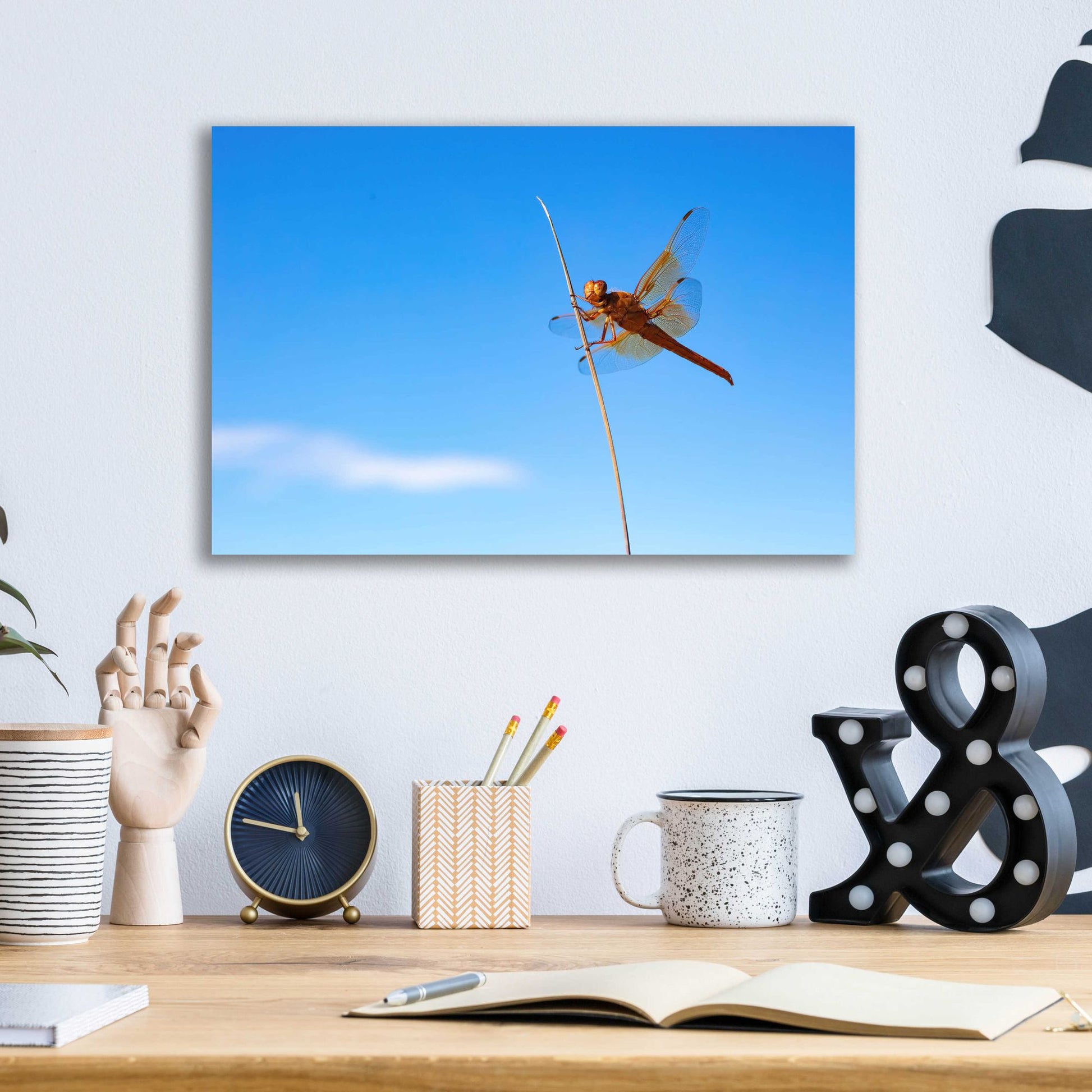 Epic Art 'Utah - Insect' by Epic Portfolio, Acrylic Glass Wall Art,16x12