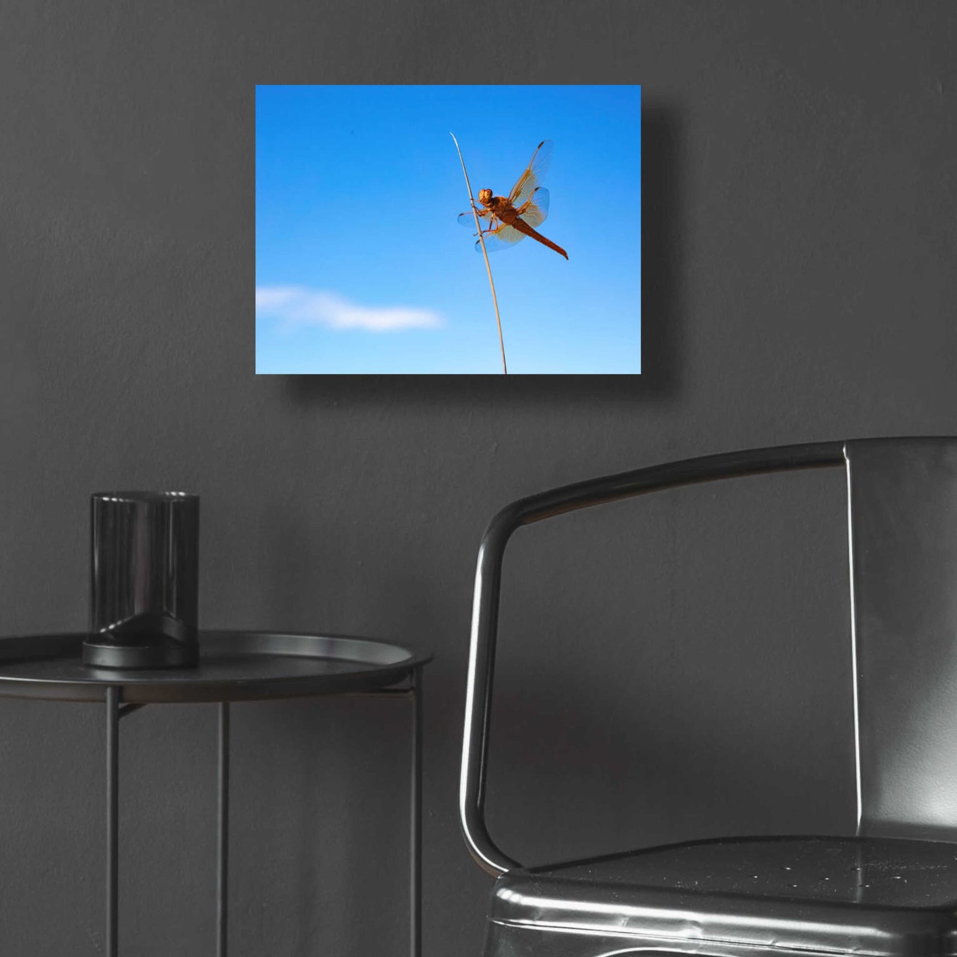 Epic Art 'Utah - Insect' by Epic Portfolio, Acrylic Glass Wall Art,16x12