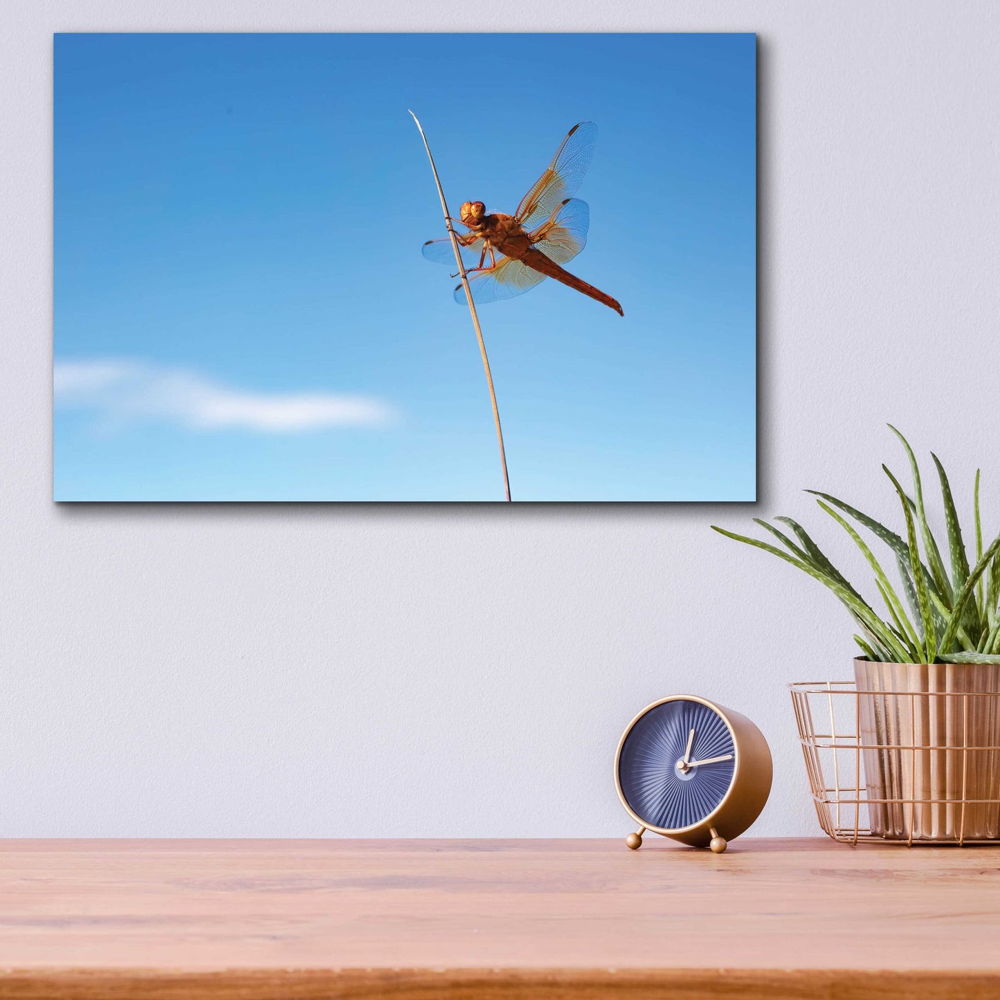 Epic Art 'Utah - Insect' by Epic Portfolio, Acrylic Glass Wall Art,16x12