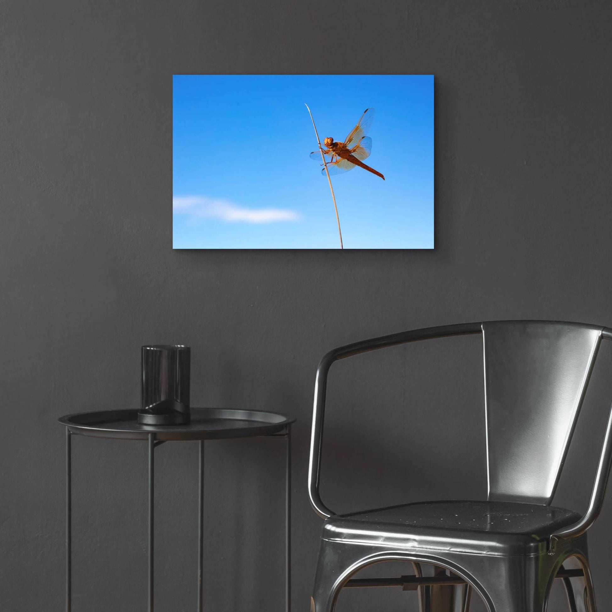 Epic Art 'Utah - Insect' by Epic Portfolio, Acrylic Glass Wall Art,24x16