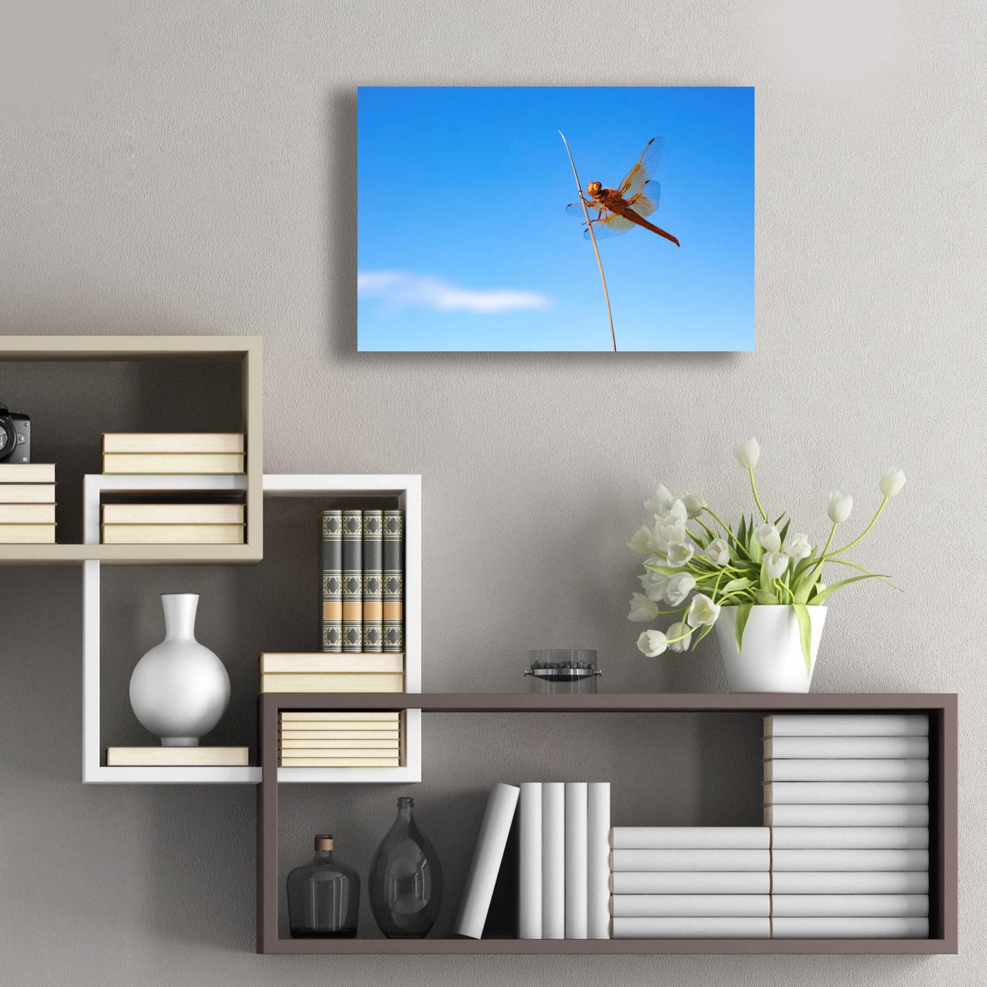 Epic Art 'Utah - Insect' by Epic Portfolio, Acrylic Glass Wall Art,24x16