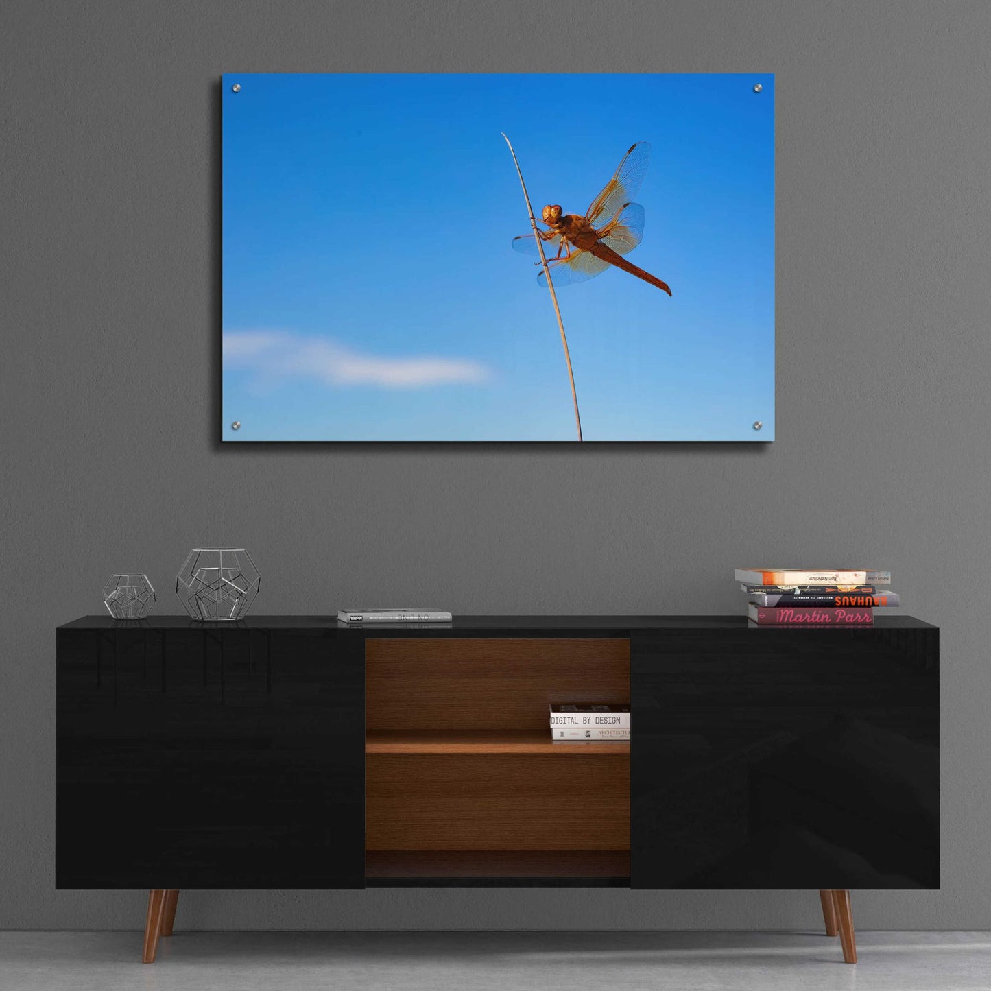 Epic Art 'Utah - Insect' by Epic Portfolio, Acrylic Glass Wall Art,36x24