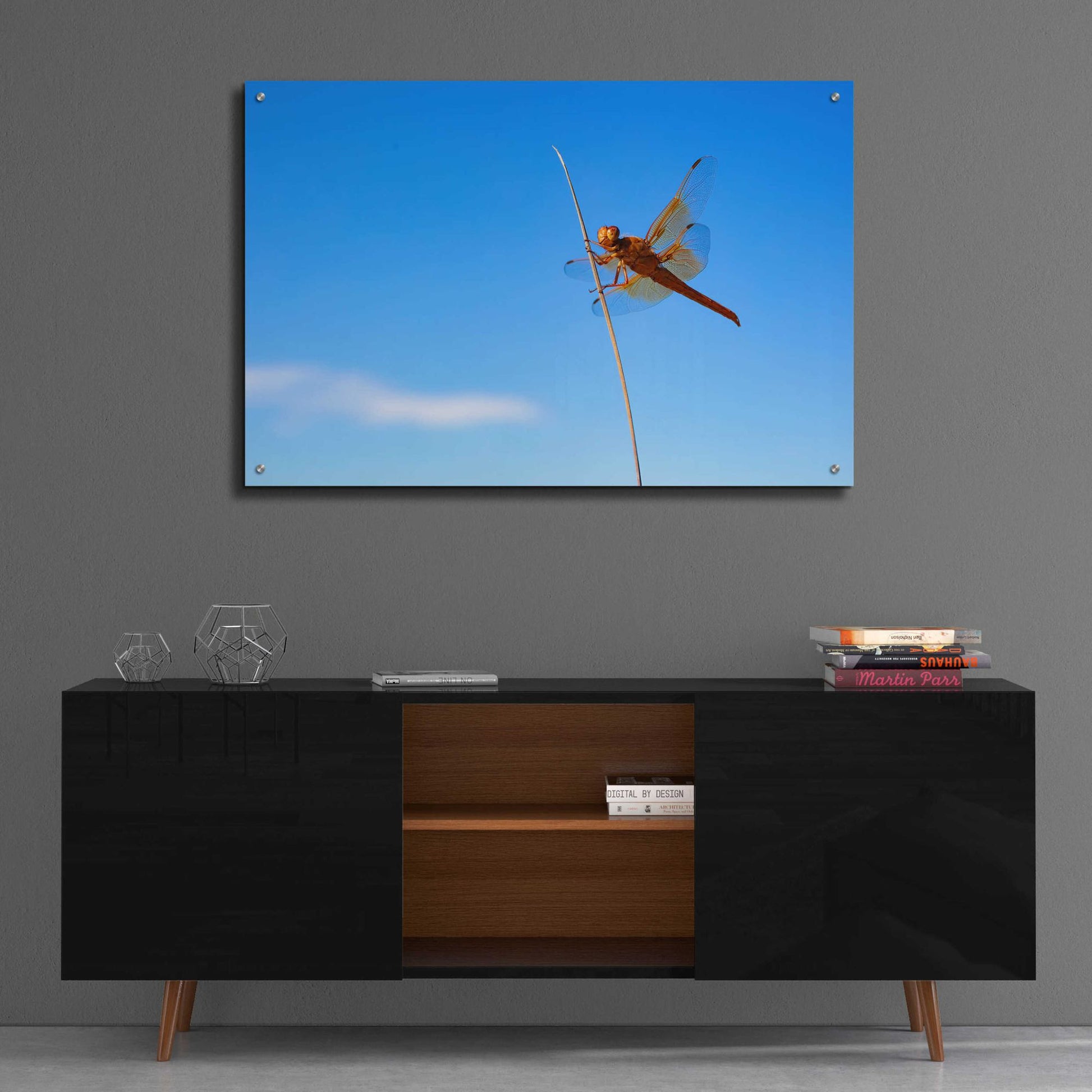 Epic Art 'Utah - Insect' by Epic Portfolio, Acrylic Glass Wall Art,36x24