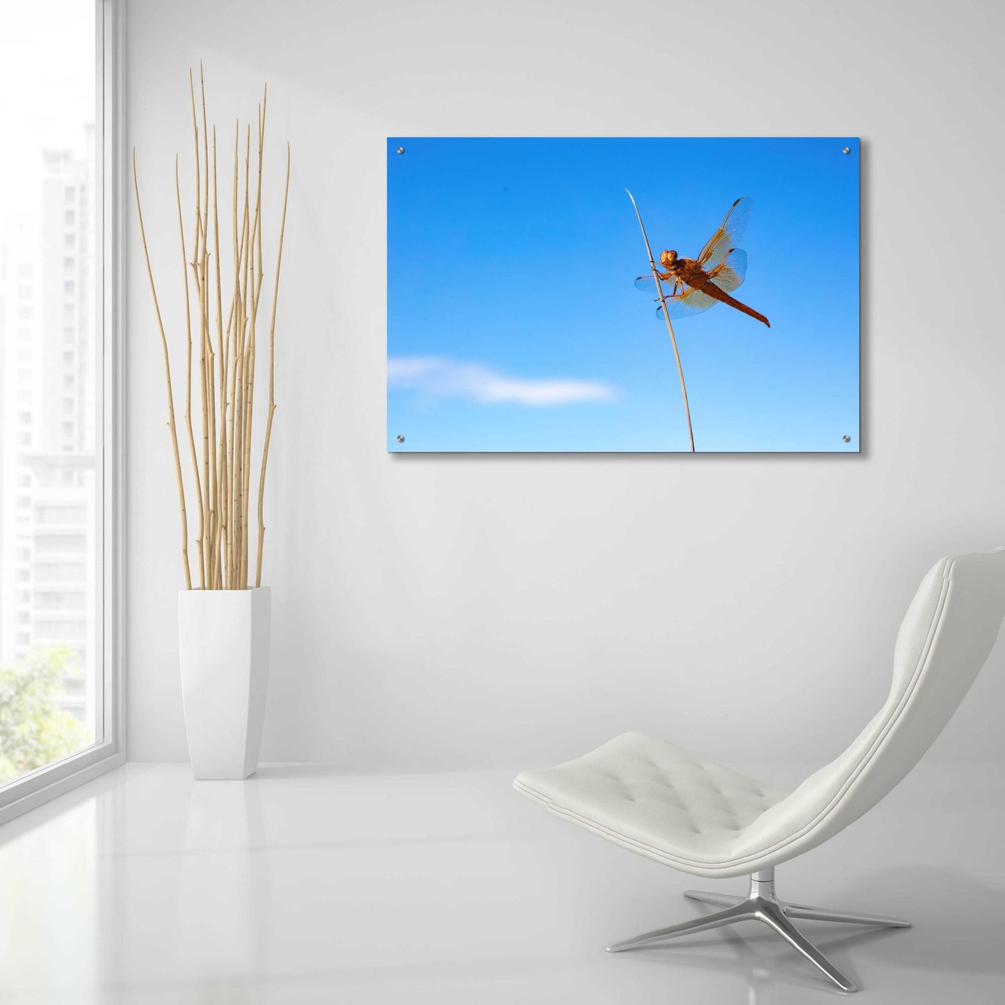 Epic Art 'Utah - Insect' by Epic Portfolio, Acrylic Glass Wall Art,36x24