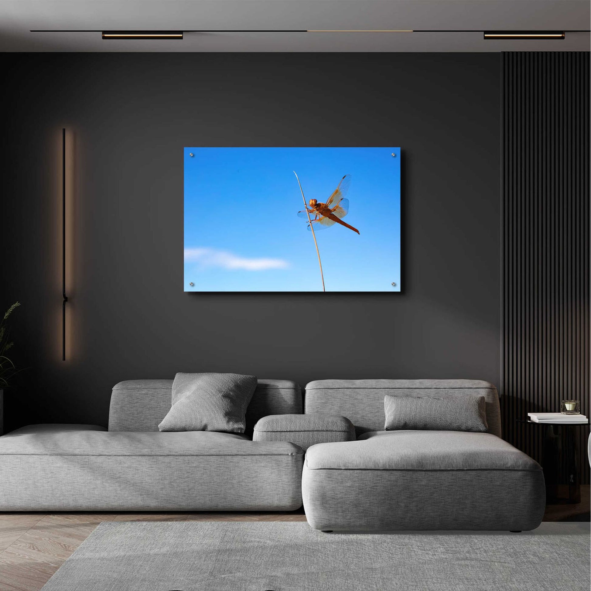 Epic Art 'Utah - Insect' by Epic Portfolio, Acrylic Glass Wall Art,36x24