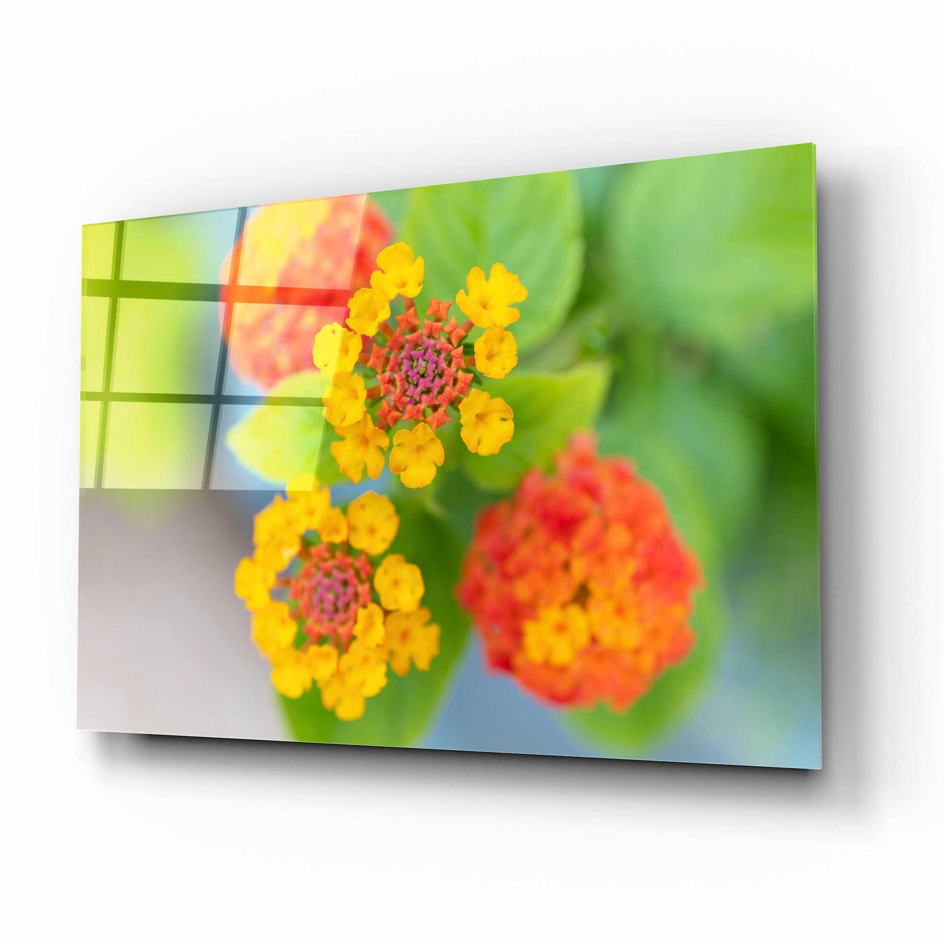 Epic Art 'Flowers' by Epic Portfolio, Acrylic Glass Wall Art,16x12