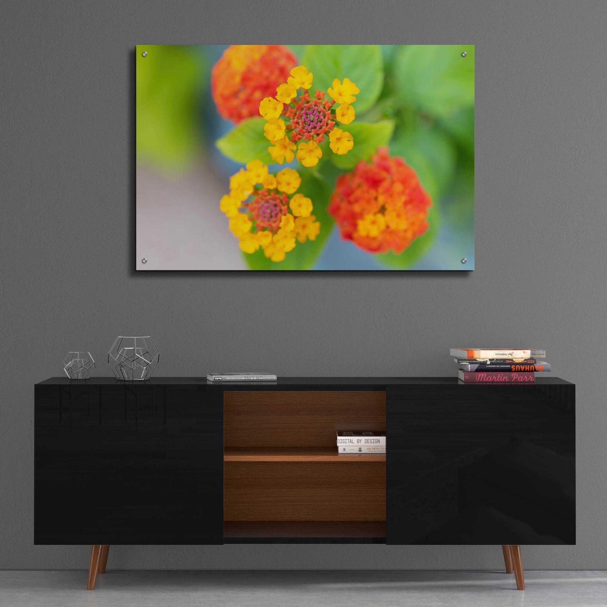 Epic Art 'Flowers' by Epic Portfolio, Acrylic Glass Wall Art,36x24