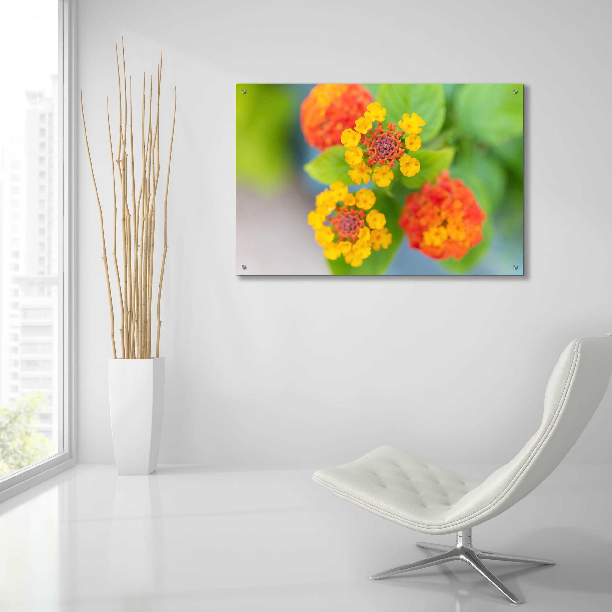 Epic Art 'Flowers' by Epic Portfolio, Acrylic Glass Wall Art,36x24