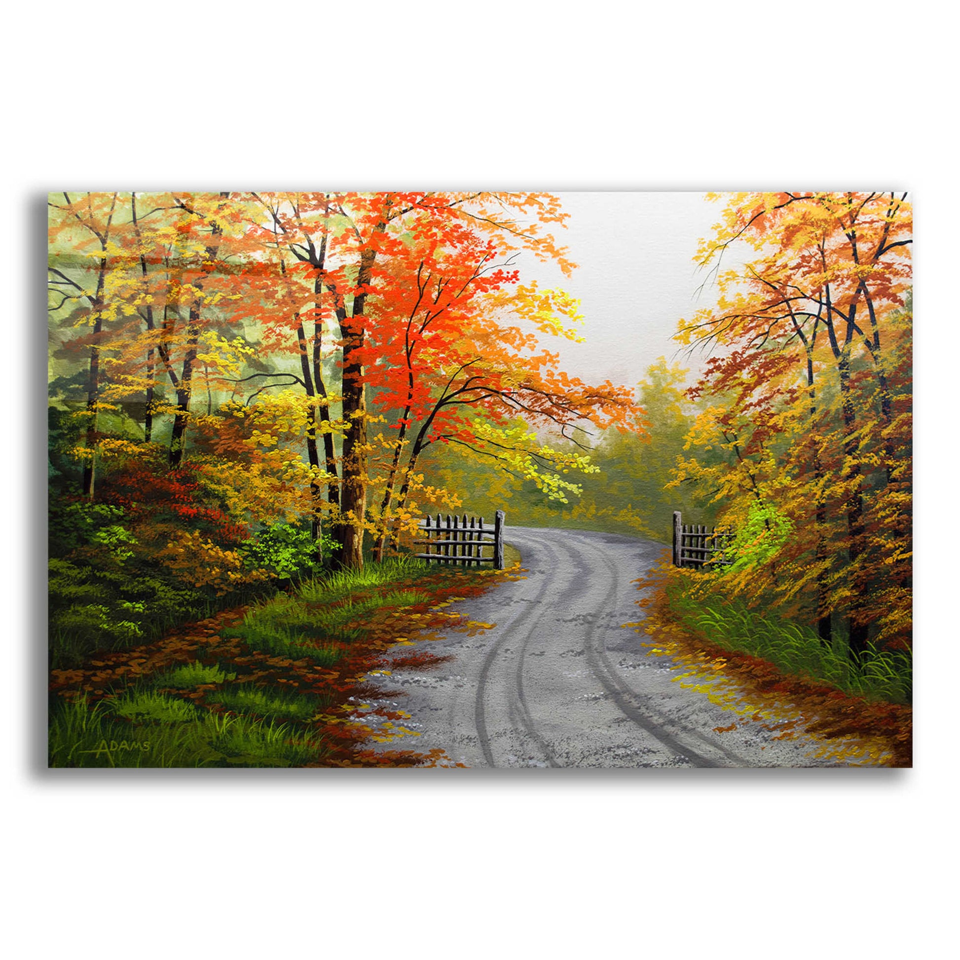 Epic Art 'Autumn Road' by Gary Adams, Acrylic Glass Wall Art,16x12