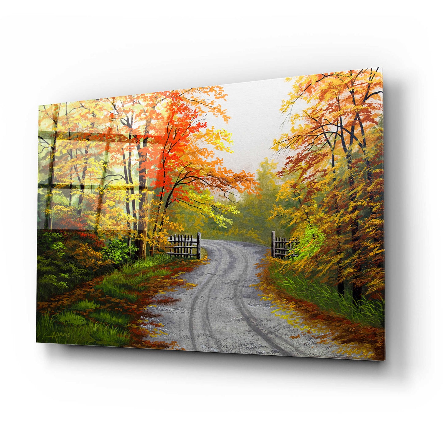 Epic Art 'Autumn Road' by Gary Adams, Acrylic Glass Wall Art,24x16