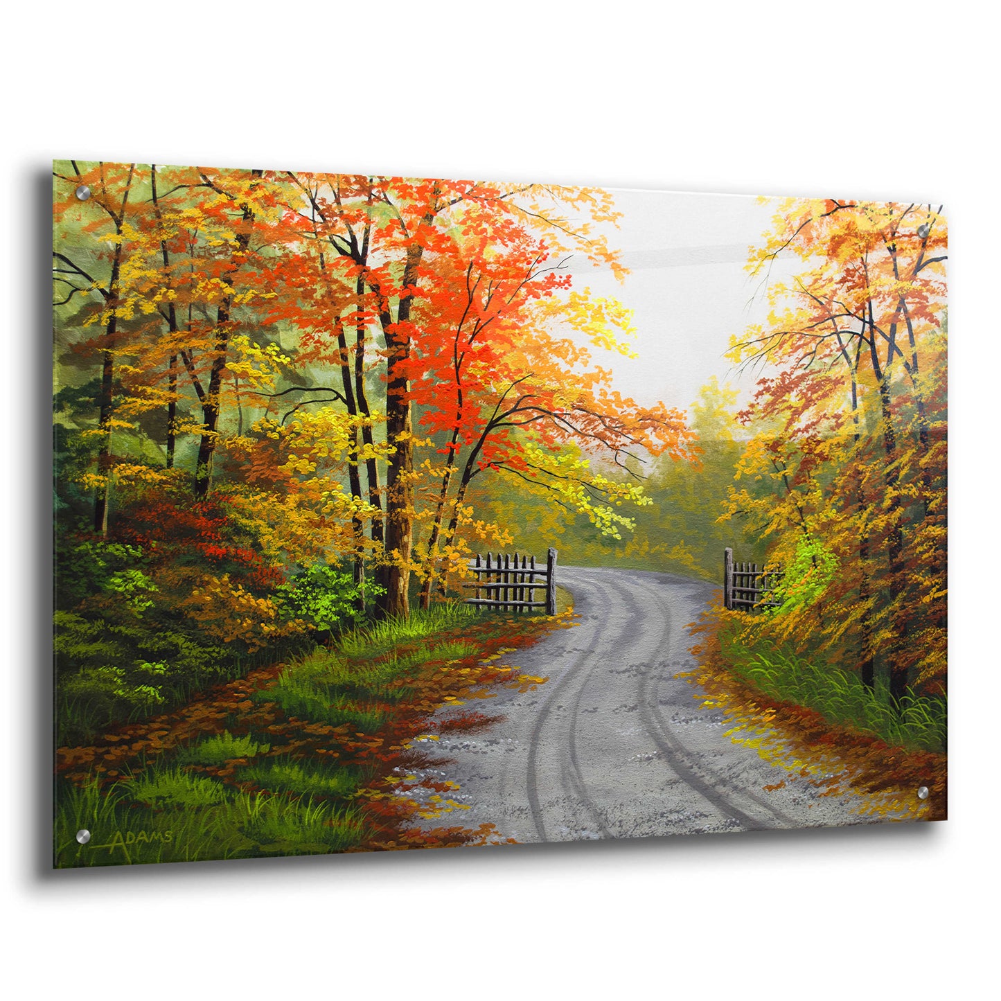 Epic Art 'Autumn Road' by Gary Adams, Acrylic Glass Wall Art,36x24