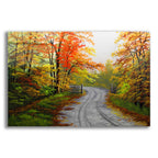 Epic Art 'Autumn Road' by Gary Adams, Acrylic Glass Wall Art