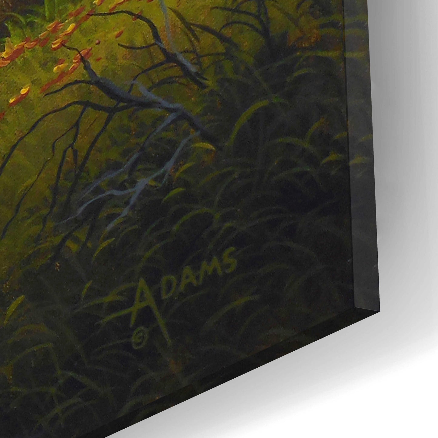 Epic Art 'Autumn Glow' by Gary Adams, Acrylic Glass Wall Art,16x12