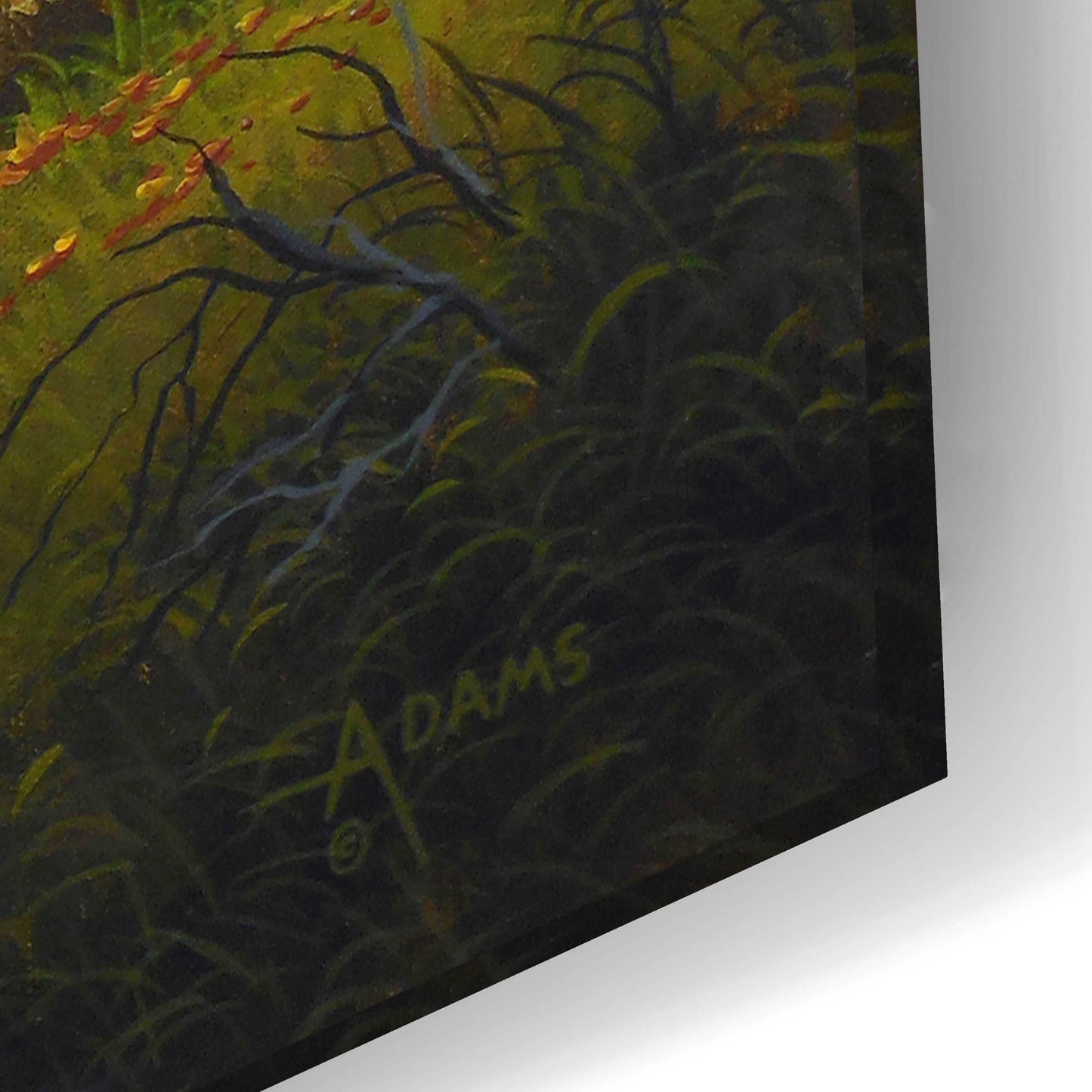 Epic Art 'Autumn Glow' by Gary Adams, Acrylic Glass Wall Art,24x16