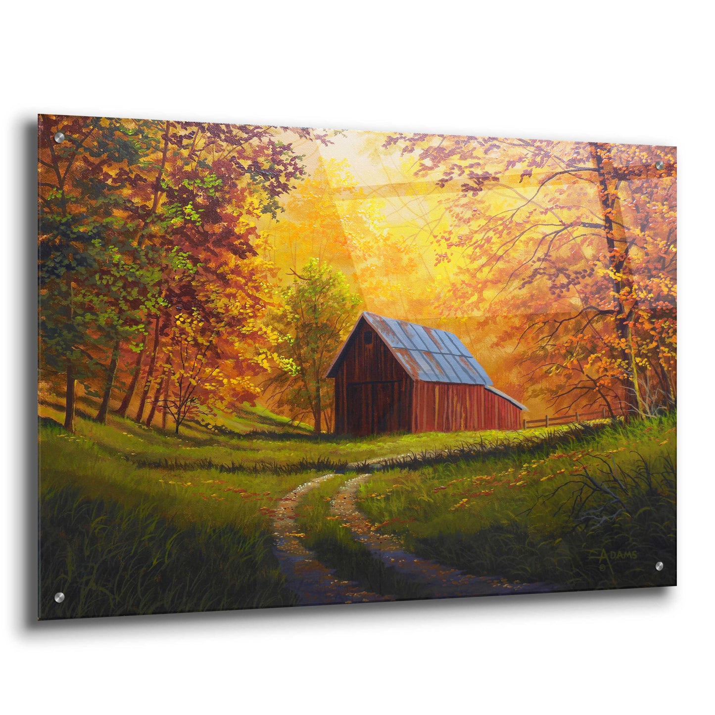 Epic Art 'Autumn Glow' by Gary Adams, Acrylic Glass Wall Art,36x24