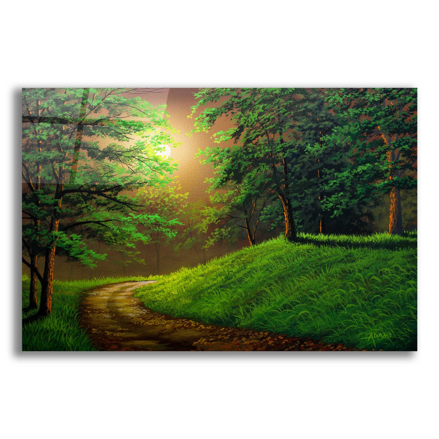 Epic Art 'The Road Home' by Gary Adams, Acrylic Glass Wall Art,16x12