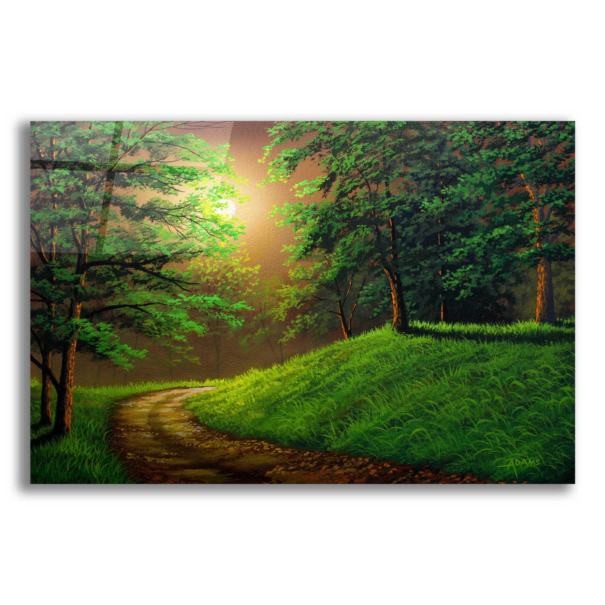 Epic Art 'The Road Home' by Gary Adams, Acrylic Glass Wall Art,24x16