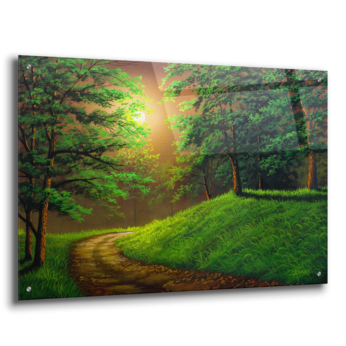 Epic Art 'The Road Home' by Gary Adams, Acrylic Glass Wall Art,36x24