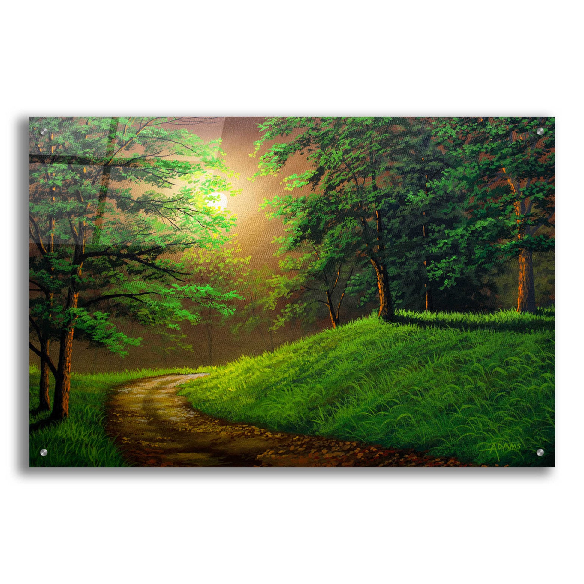 Epic Art 'The Road Home' by Gary Adams, Acrylic Glass Wall Art,36x24