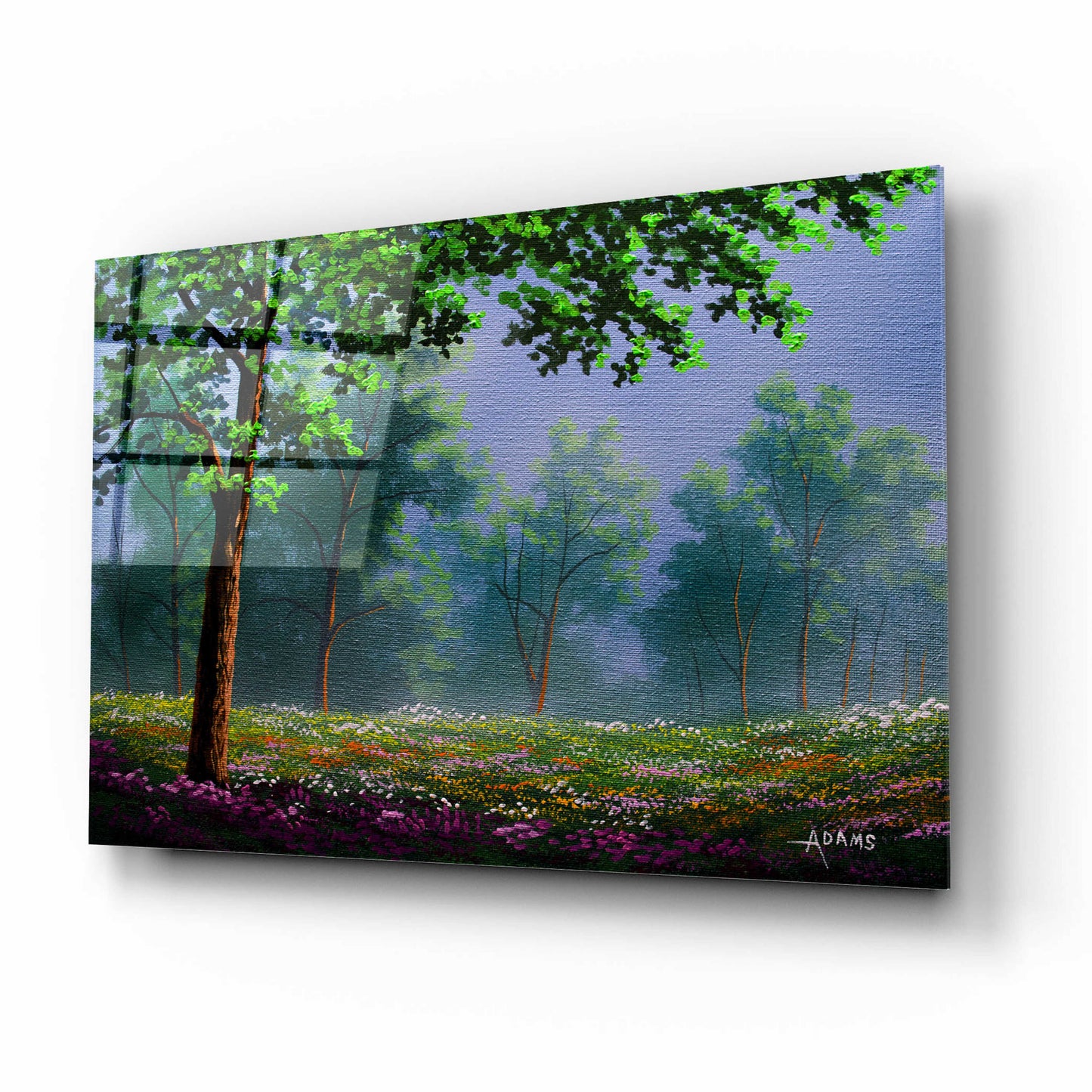 Epic Art 'Misty Morning' by Gary Adams, Acrylic Glass Wall Art,16x12