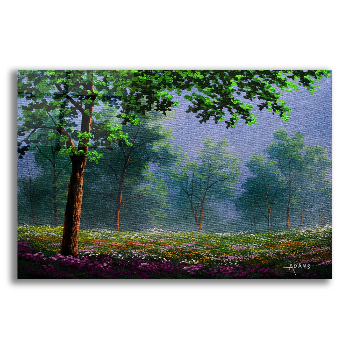 Epic Art 'Misty Morning' by Gary Adams, Acrylic Glass Wall Art,16x12