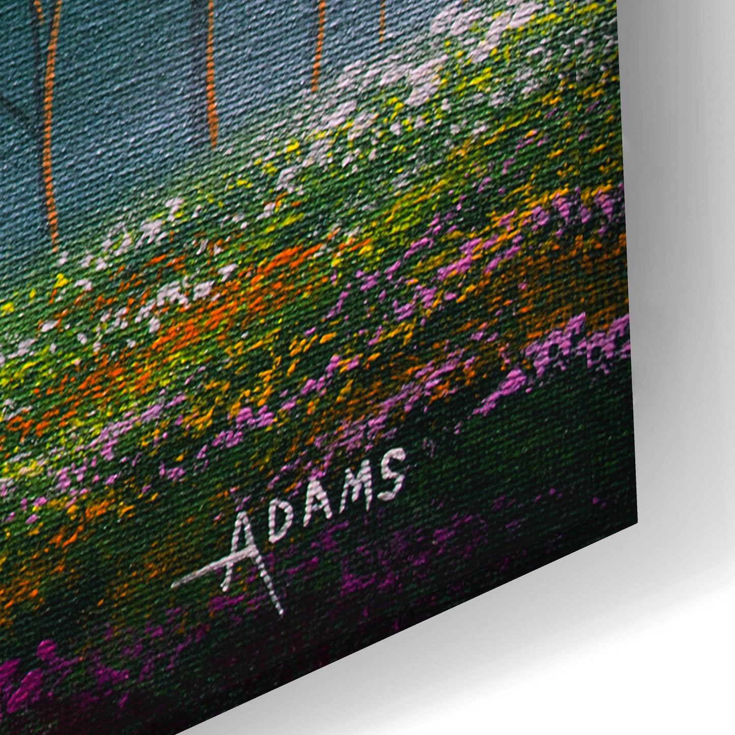 Epic Art 'Misty Morning' by Gary Adams, Acrylic Glass Wall Art,24x16