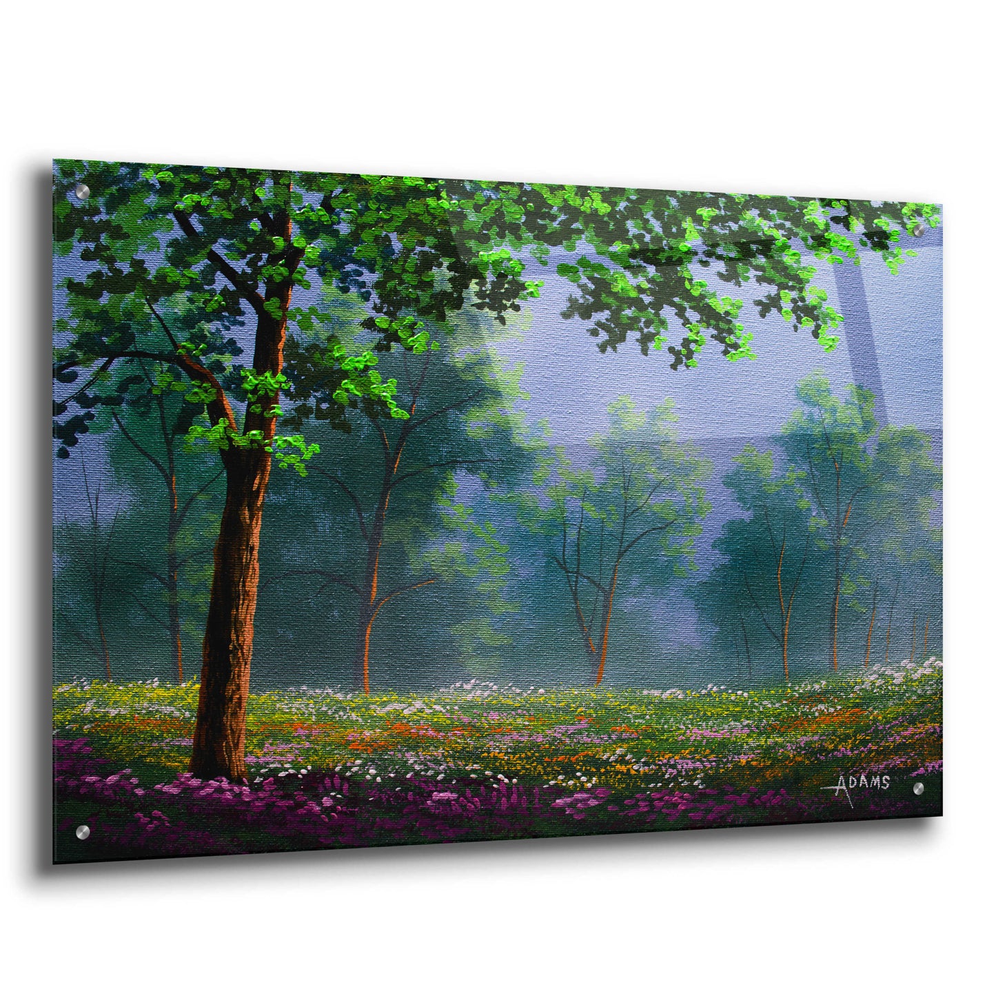 Epic Art 'Misty Morning' by Gary Adams, Acrylic Glass Wall Art,36x24