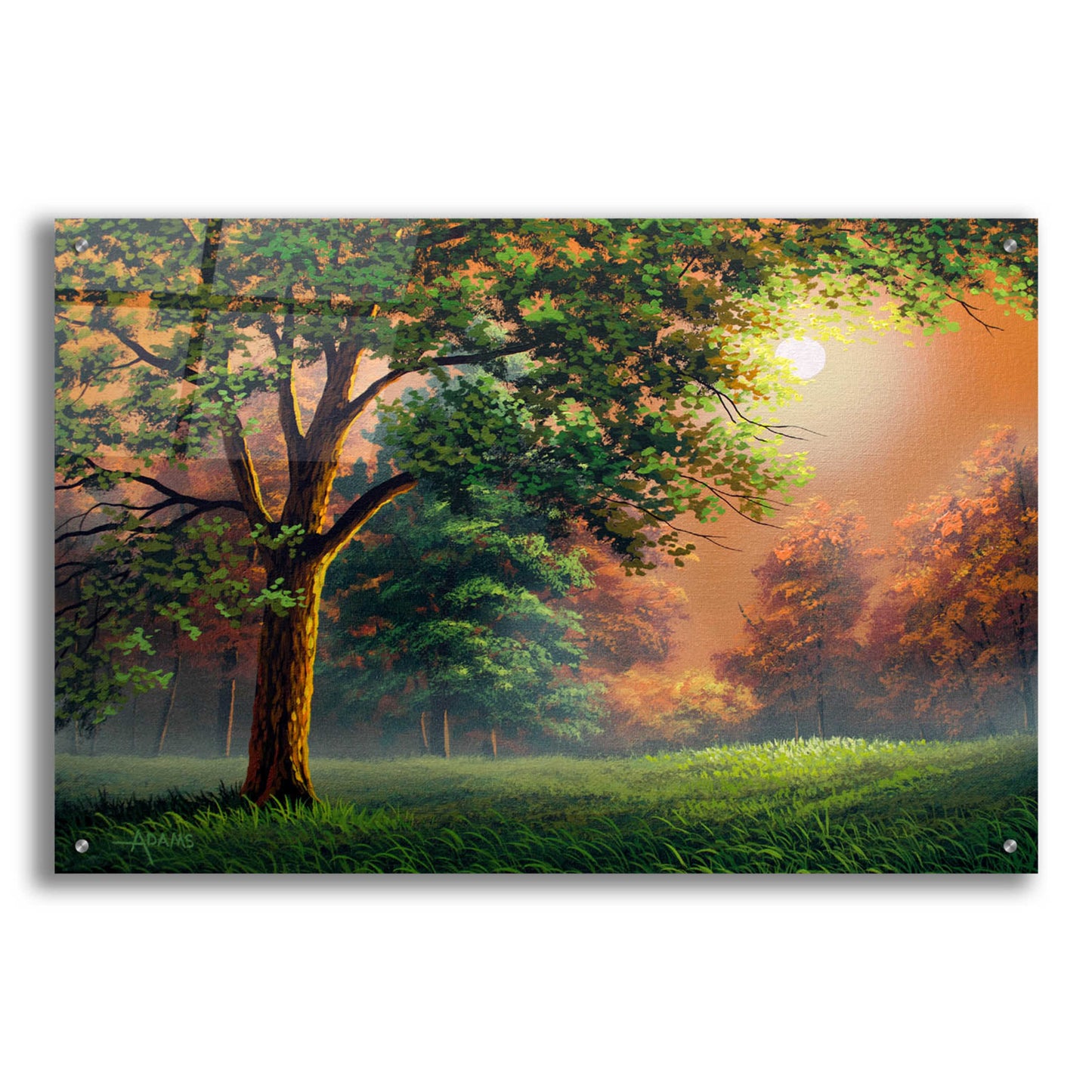 Epic Art 'Evening Radiance' by Gary Adams, Acrylic Glass Wall Art,36x24