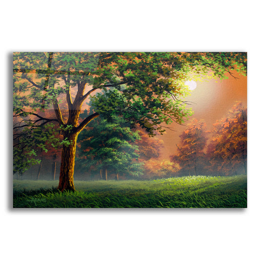 Epic Art 'Evening Radiance' by Gary Adams, Acrylic Glass Wall Art