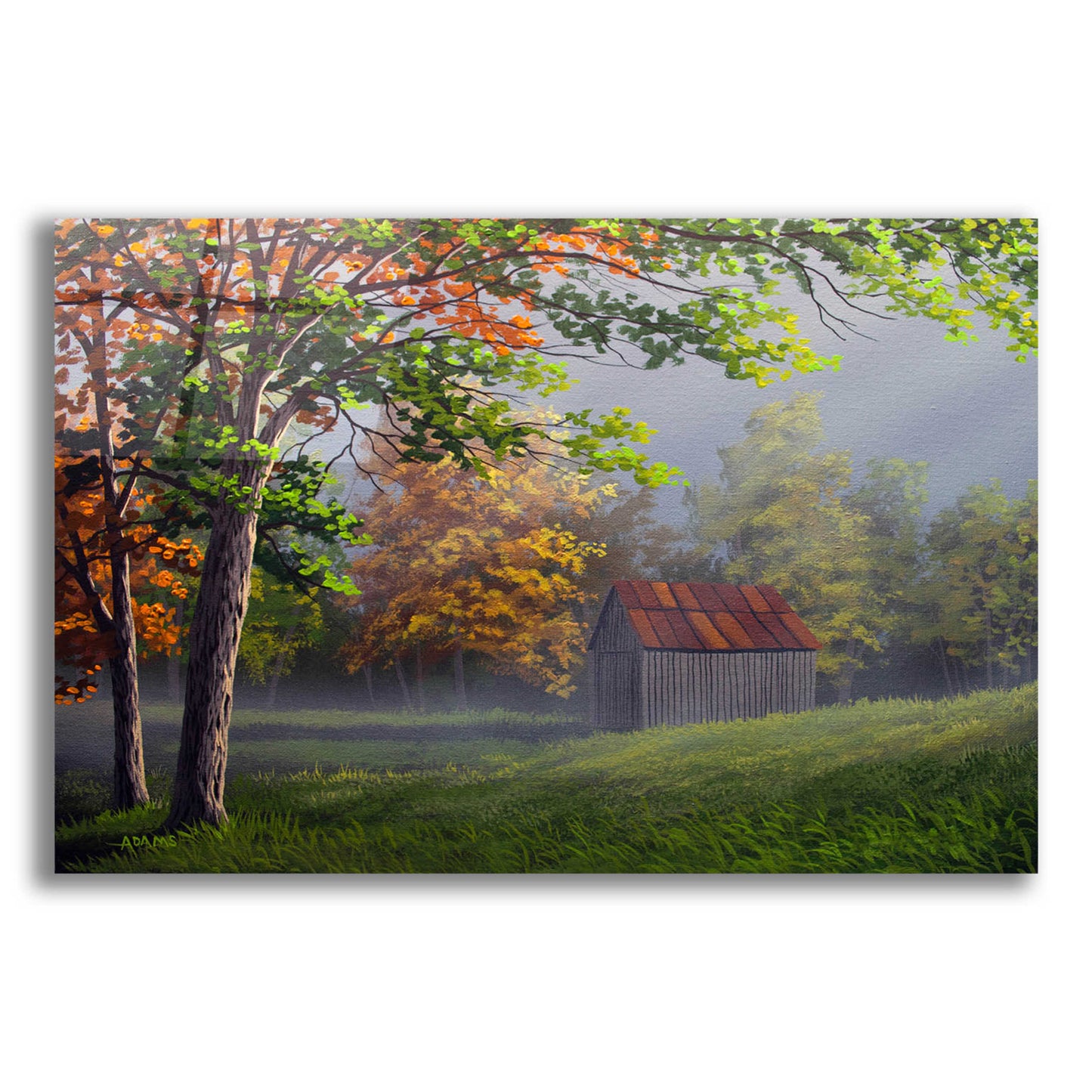 Epic Art 'Misty Country Morn' by Gary Adams, Acrylic Glass Wall Art,24x16