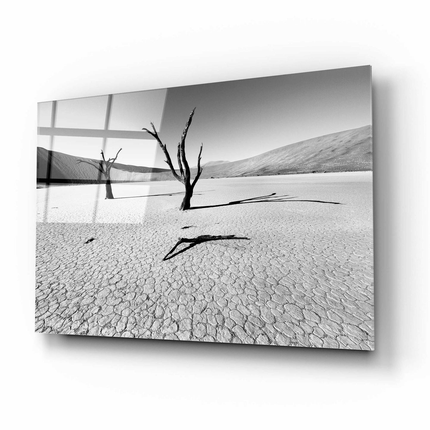 Epic Art 'Namibia Dead Vlei' by Nina Papiorek, Acrylic Glass Wall Art,16x12