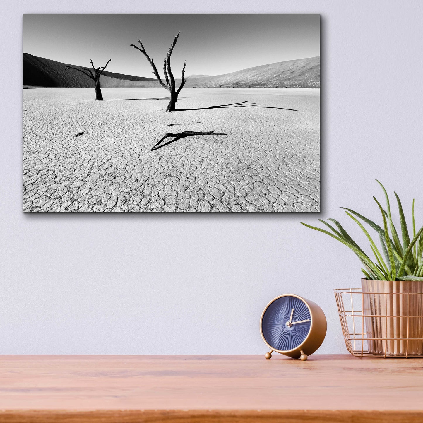 Epic Art 'Namibia Dead Vlei' by Nina Papiorek, Acrylic Glass Wall Art,16x12