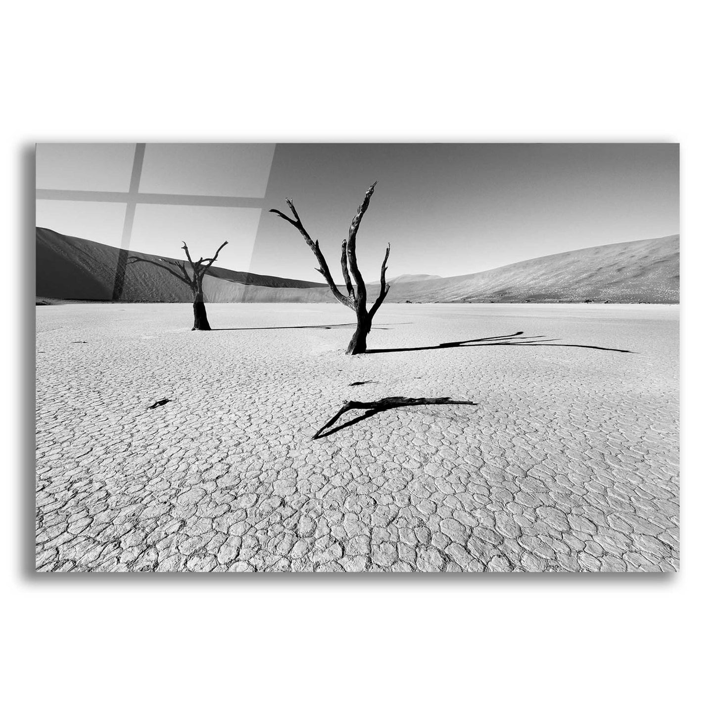 Epic Art 'Namibia Dead Vlei' by Nina Papiorek, Acrylic Glass Wall Art,16x12