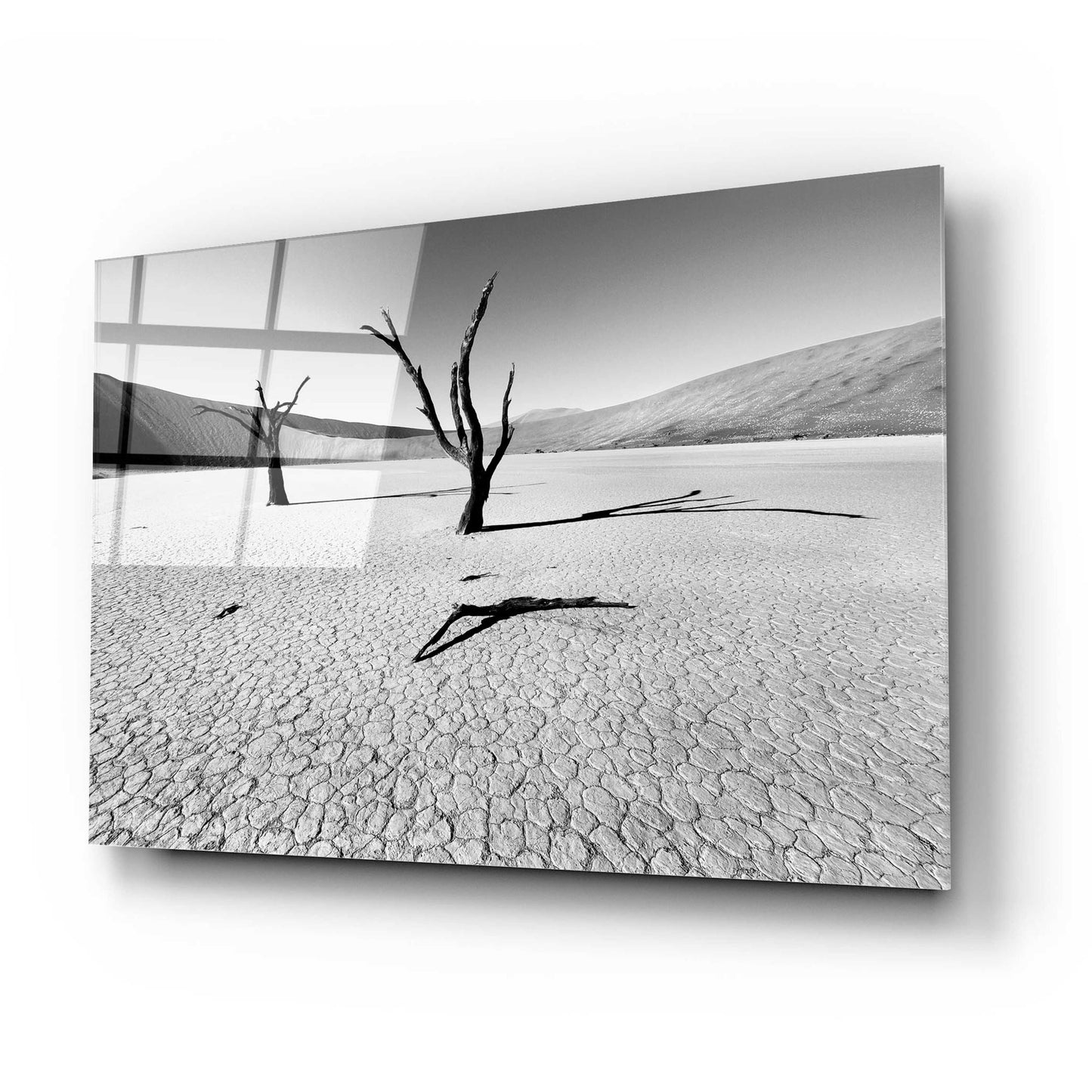 Epic Art 'Namibia Dead Vlei' by Nina Papiorek, Acrylic Glass Wall Art,24x16