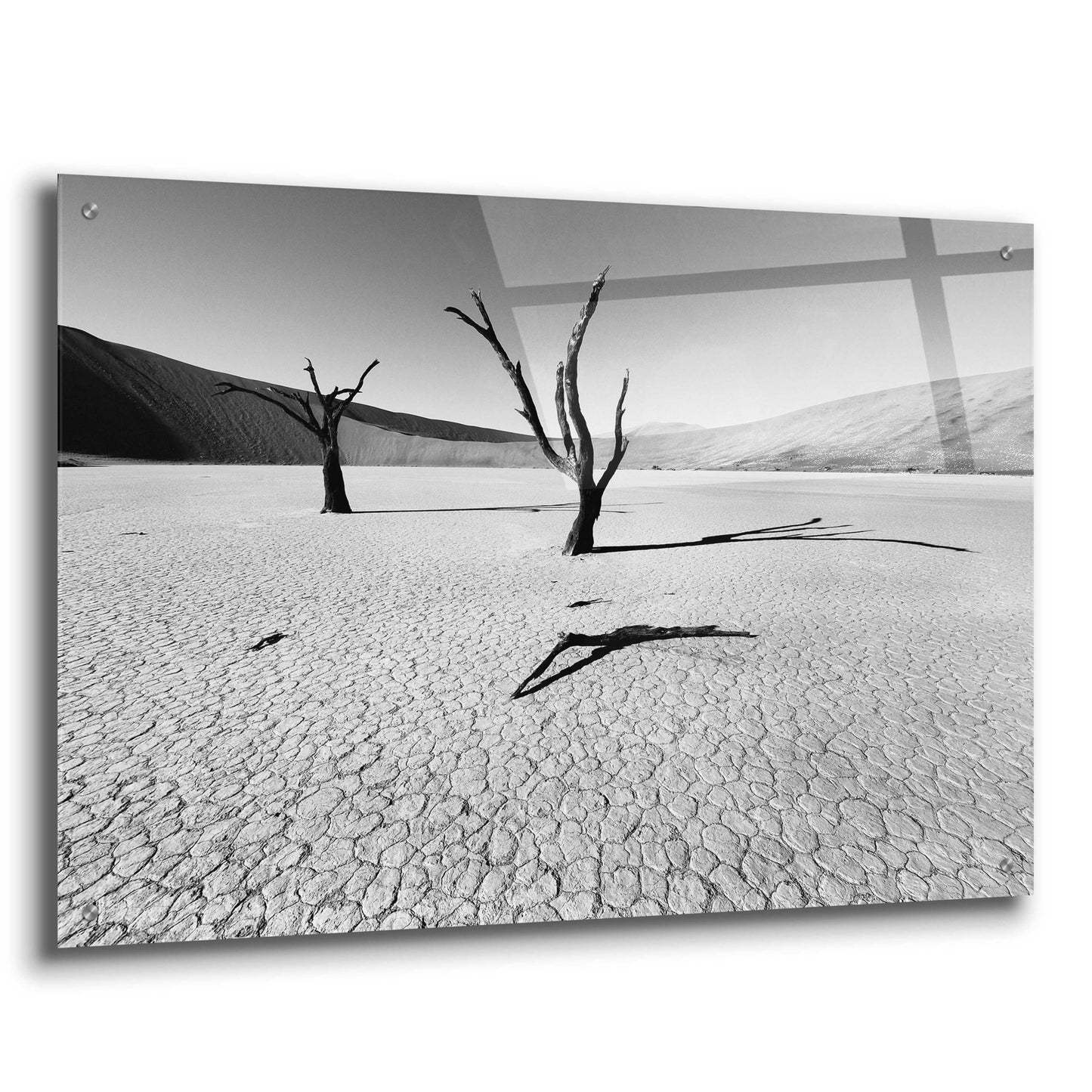 Epic Art 'Namibia Dead Vlei' by Nina Papiorek, Acrylic Glass Wall Art,36x24