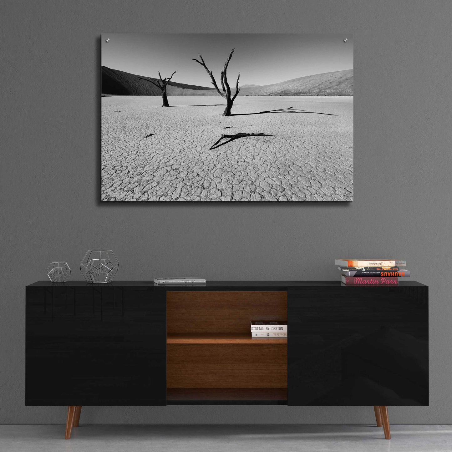 Epic Art 'Namibia Dead Vlei' by Nina Papiorek, Acrylic Glass Wall Art,36x24