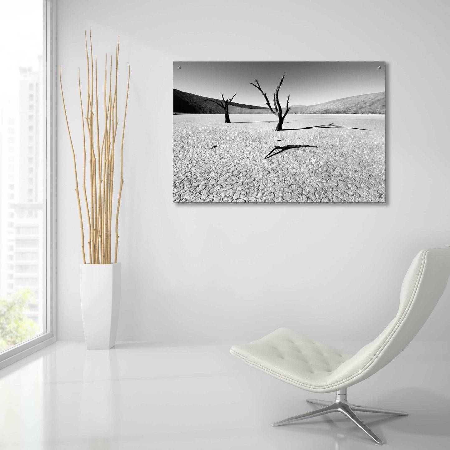 Epic Art 'Namibia Dead Vlei' by Nina Papiorek, Acrylic Glass Wall Art,36x24