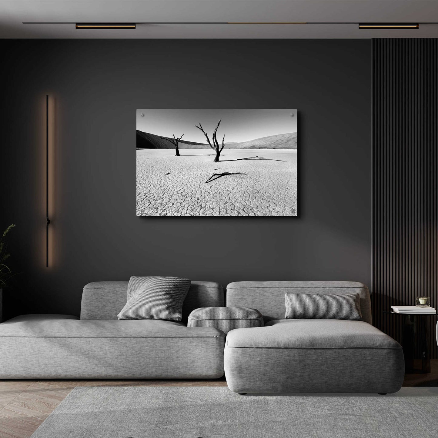 Epic Art 'Namibia Dead Vlei' by Nina Papiorek, Acrylic Glass Wall Art,36x24