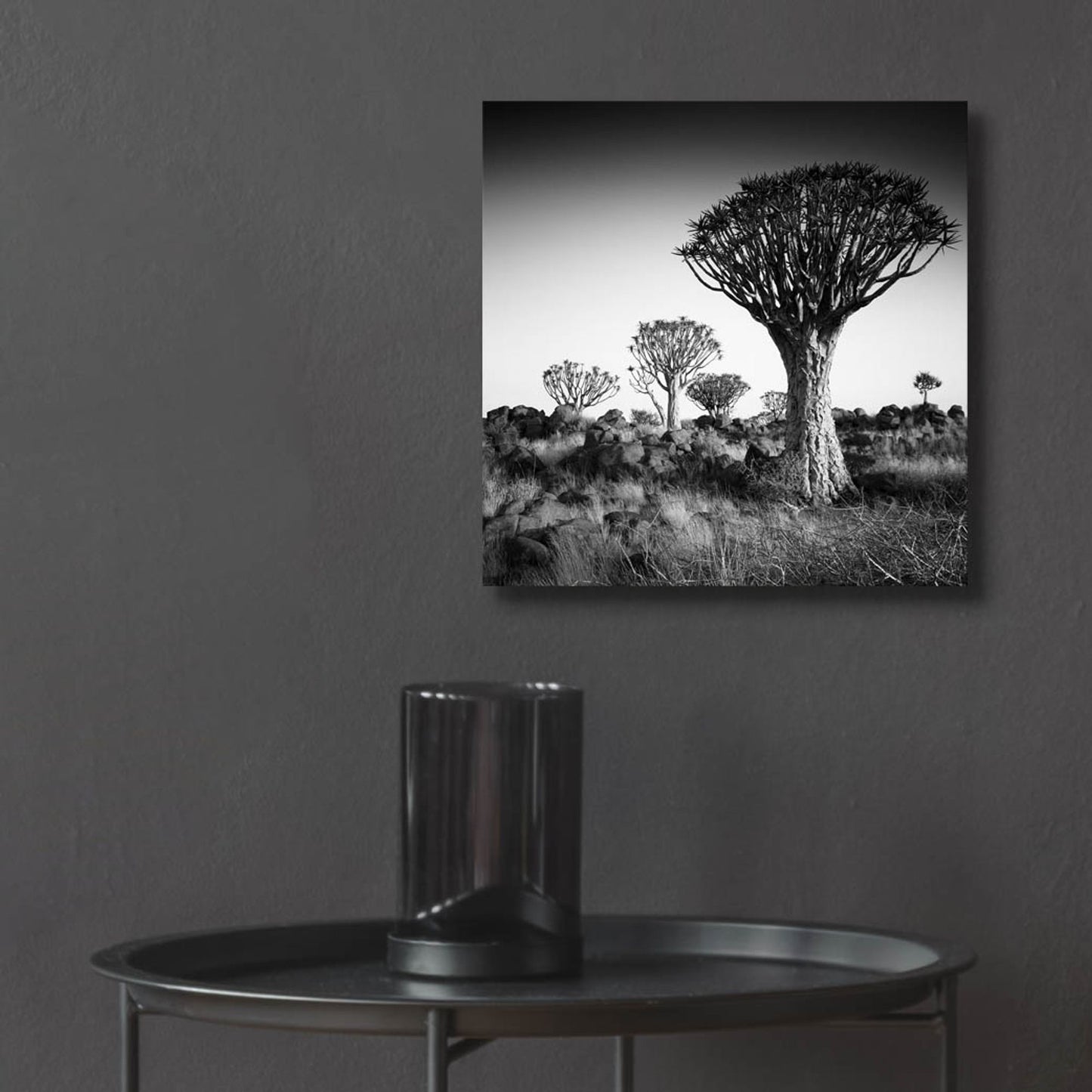 Epic Art 'Namibia Quiver Trees' by Nina Papiorek, Acrylic Glass Wall Art,12x12