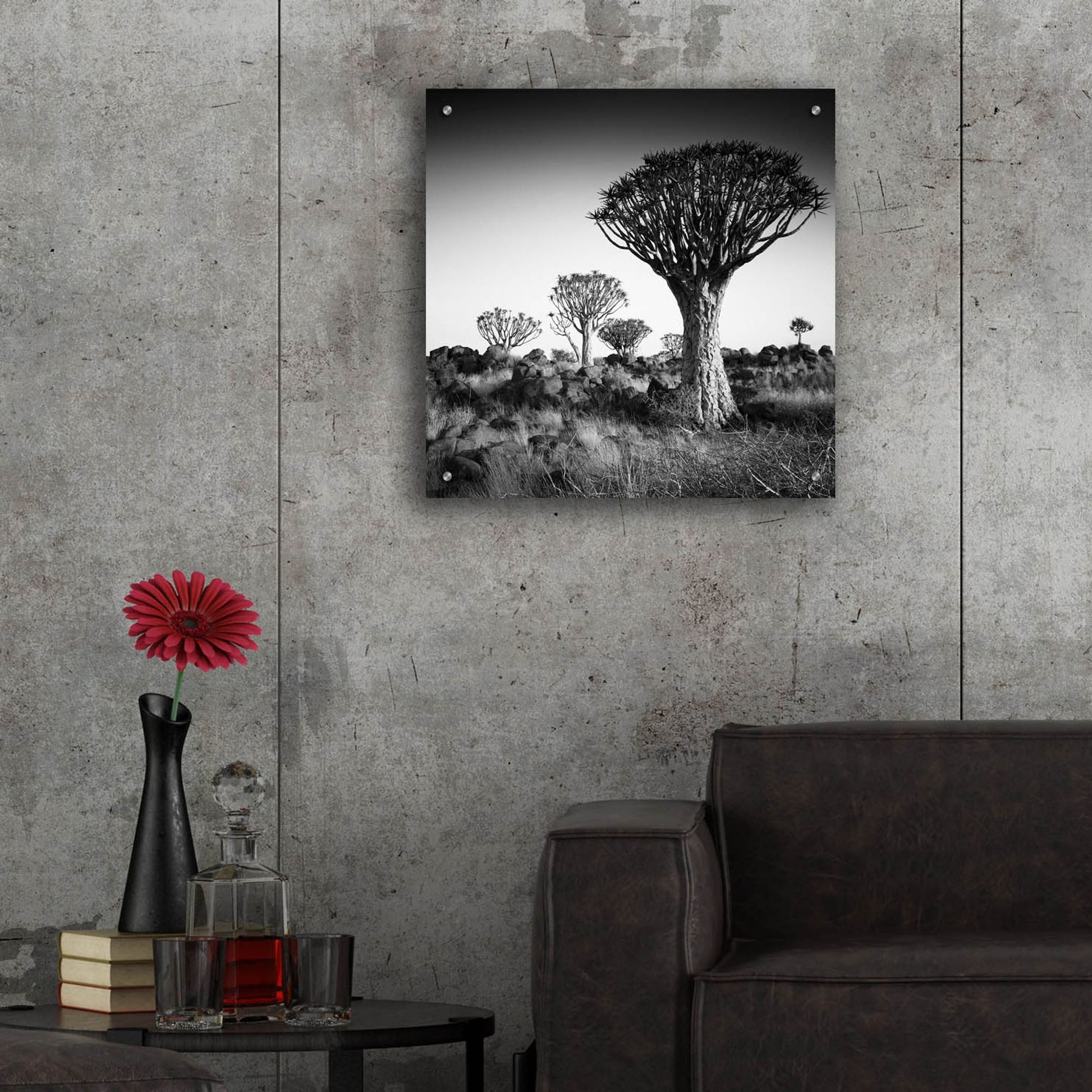 Epic Art 'Namibia Quiver Trees' by Nina Papiorek, Acrylic Glass Wall Art,24x24