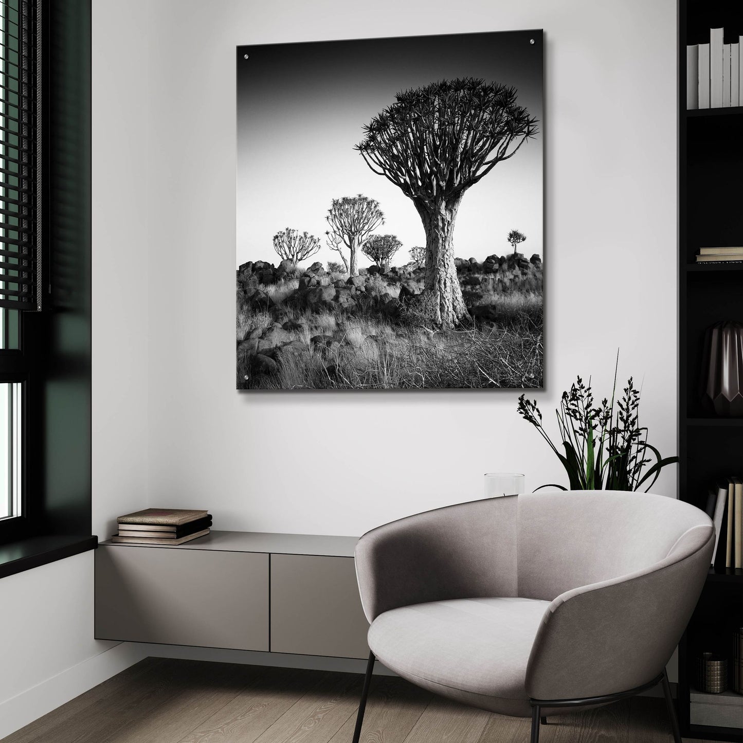 Epic Art 'Namibia Quiver Trees' by Nina Papiorek, Acrylic Glass Wall Art,36x36