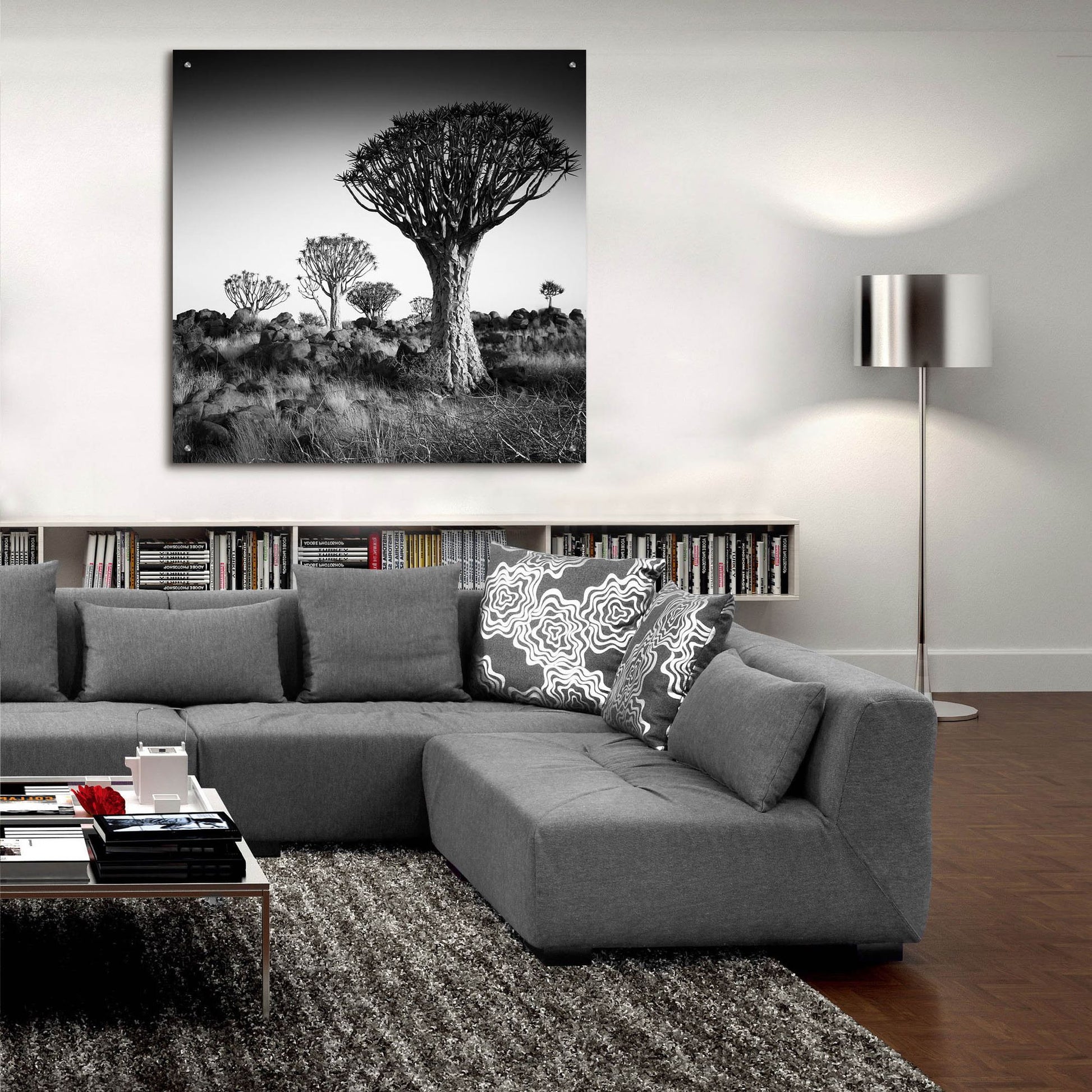 Epic Art 'Namibia Quiver Trees' by Nina Papiorek, Acrylic Glass Wall Art,36x36