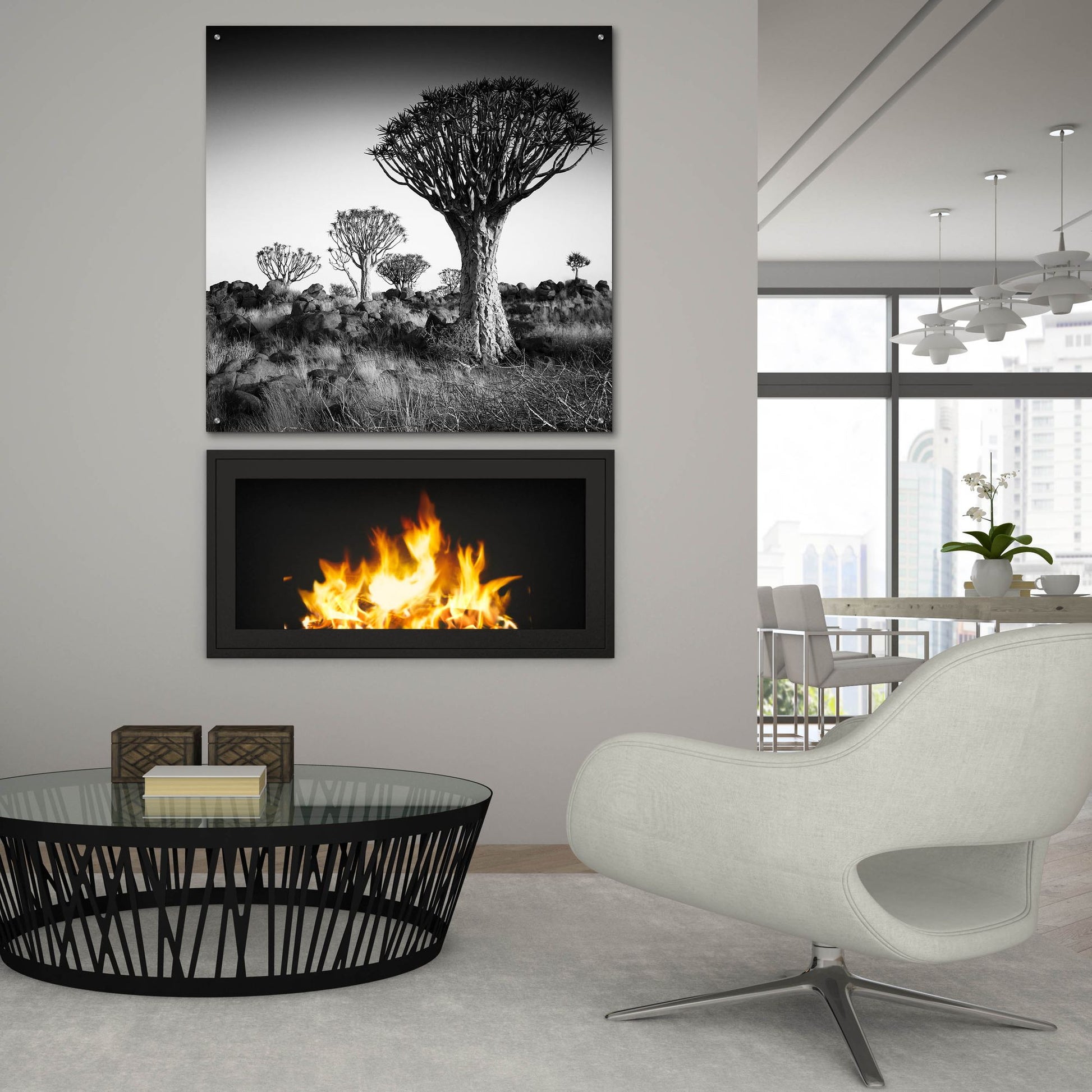 Epic Art 'Namibia Quiver Trees' by Nina Papiorek, Acrylic Glass Wall Art,36x36