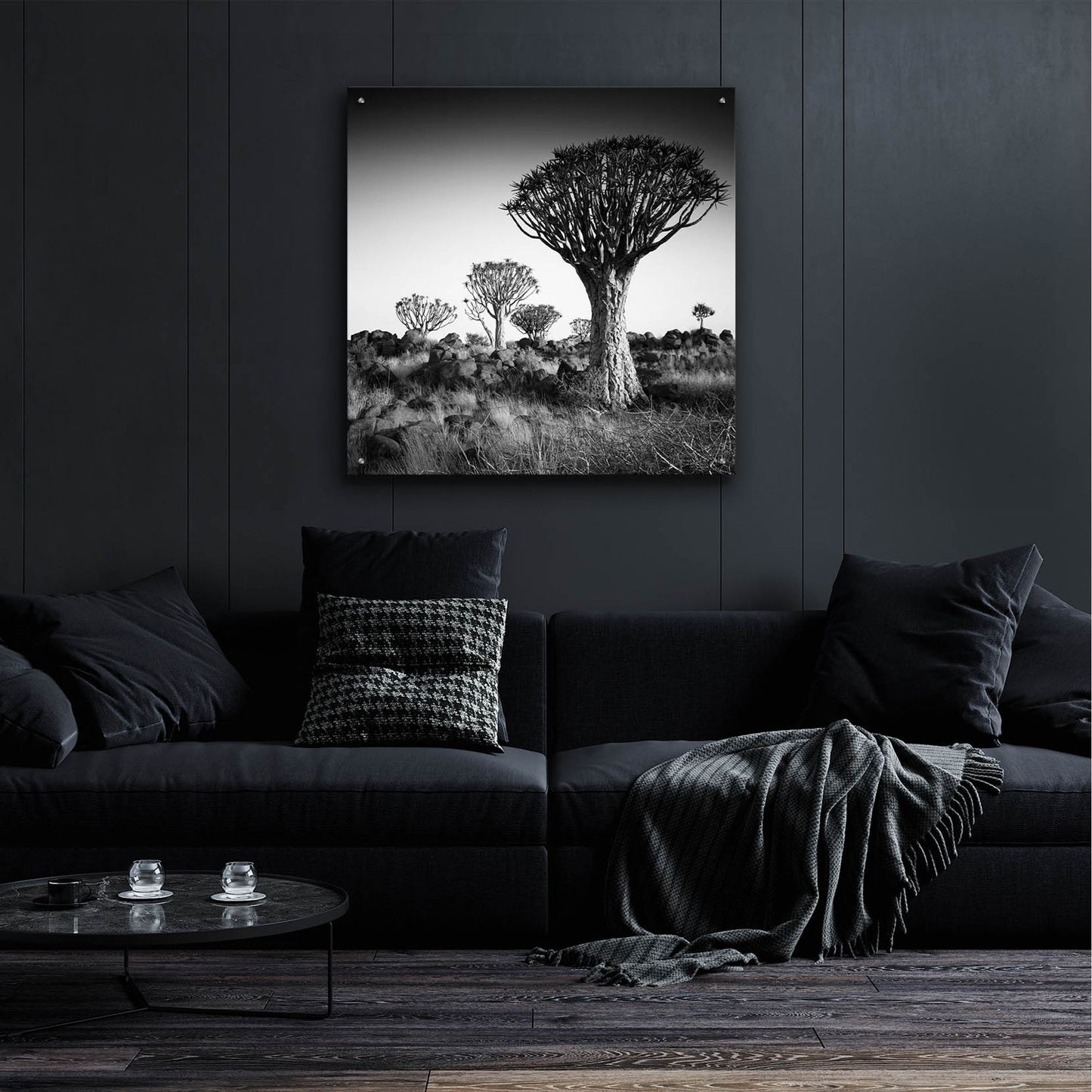 Epic Art 'Namibia Quiver Trees' by Nina Papiorek, Acrylic Glass Wall Art,36x36