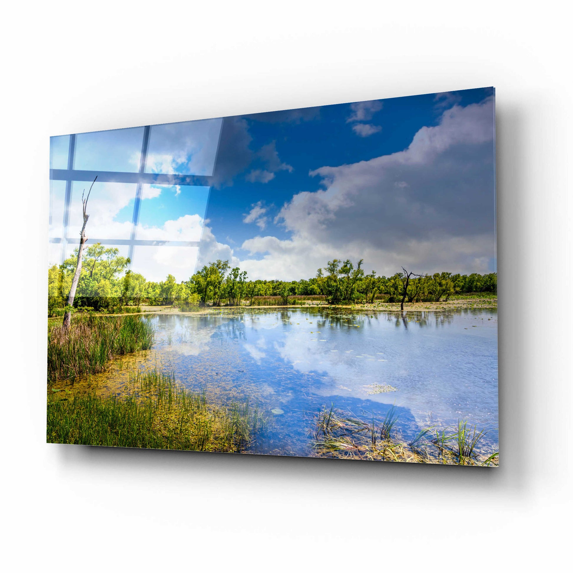 Epic Art 'Brazos Bend Sunny Afternoon' by Grace Fine Arts Photography, Acrylic Glass Wall Art,16x12