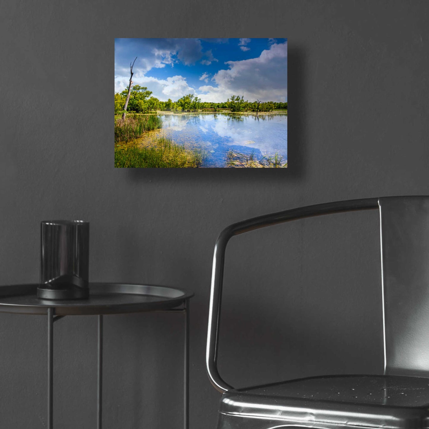 Epic Art 'Brazos Bend Sunny Afternoon' by Grace Fine Arts Photography, Acrylic Glass Wall Art,16x12