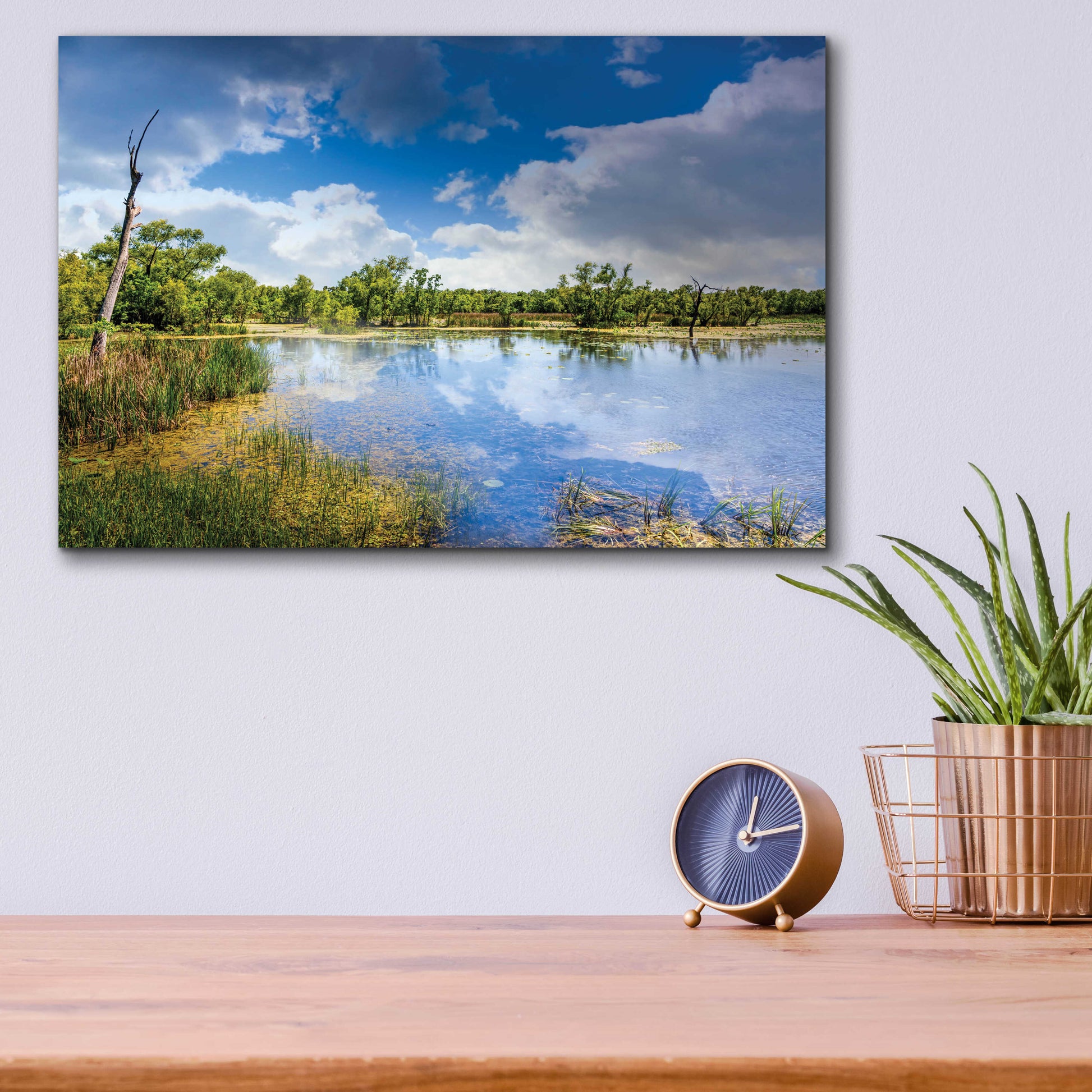 Epic Art 'Brazos Bend Sunny Afternoon' by Grace Fine Arts Photography, Acrylic Glass Wall Art,16x12