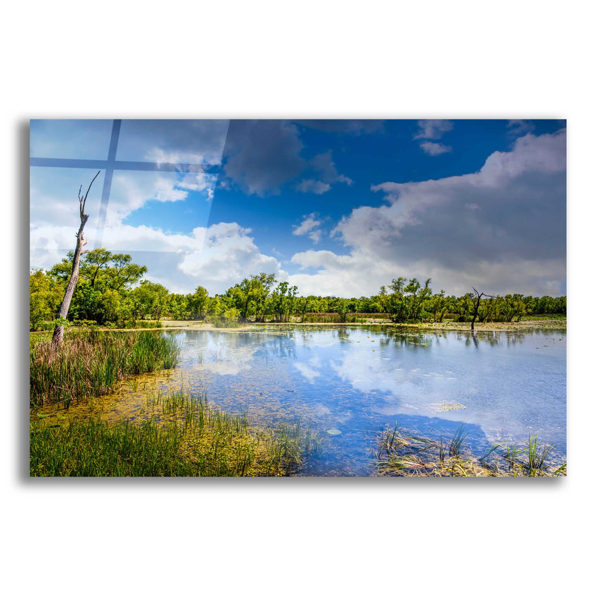 Epic Art 'Brazos Bend Sunny Afternoon' by Grace Fine Arts Photography, Acrylic Glass Wall Art,16x12