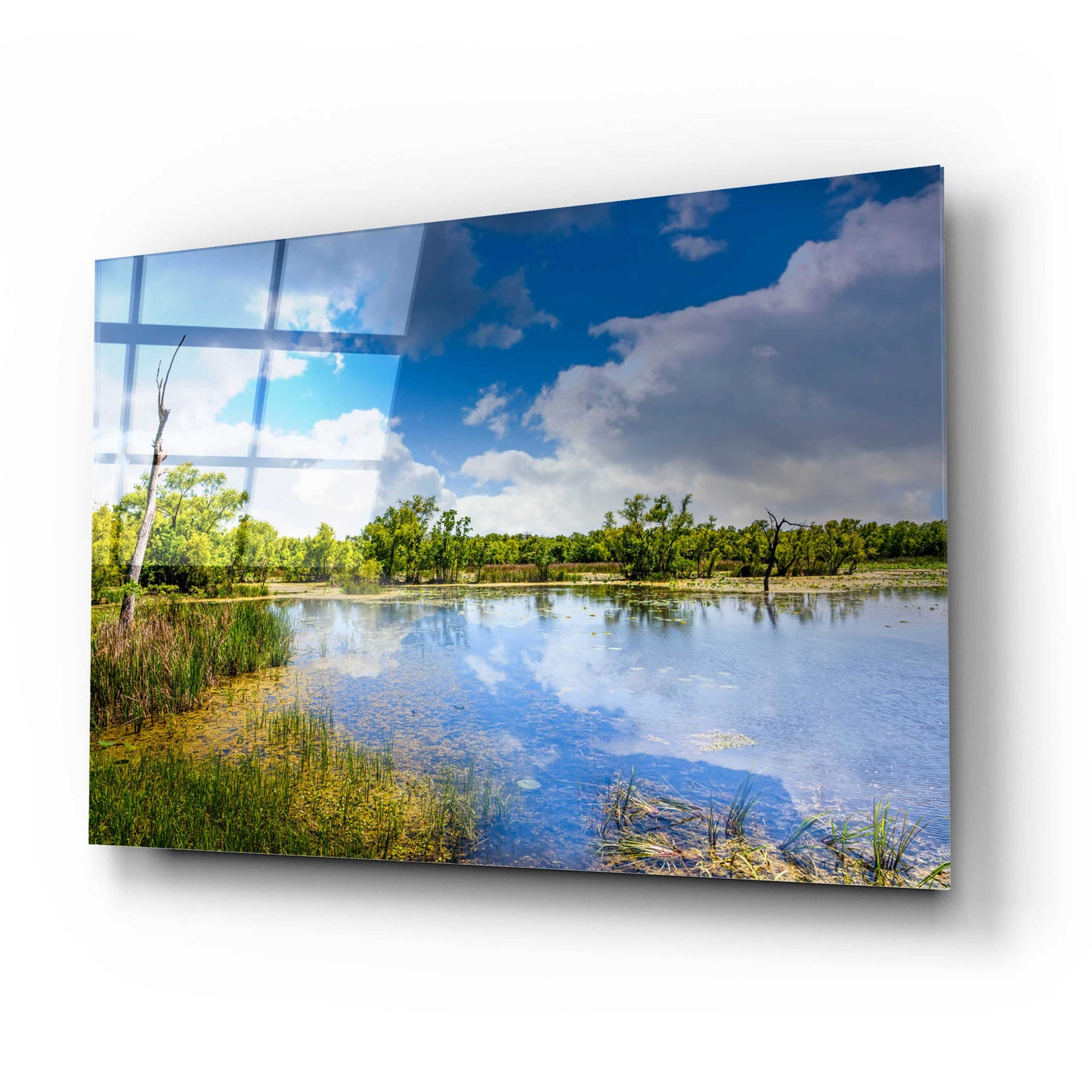 Epic Art 'Brazos Bend Sunny Afternoon' by Grace Fine Arts Photography, Acrylic Glass Wall Art,24x16